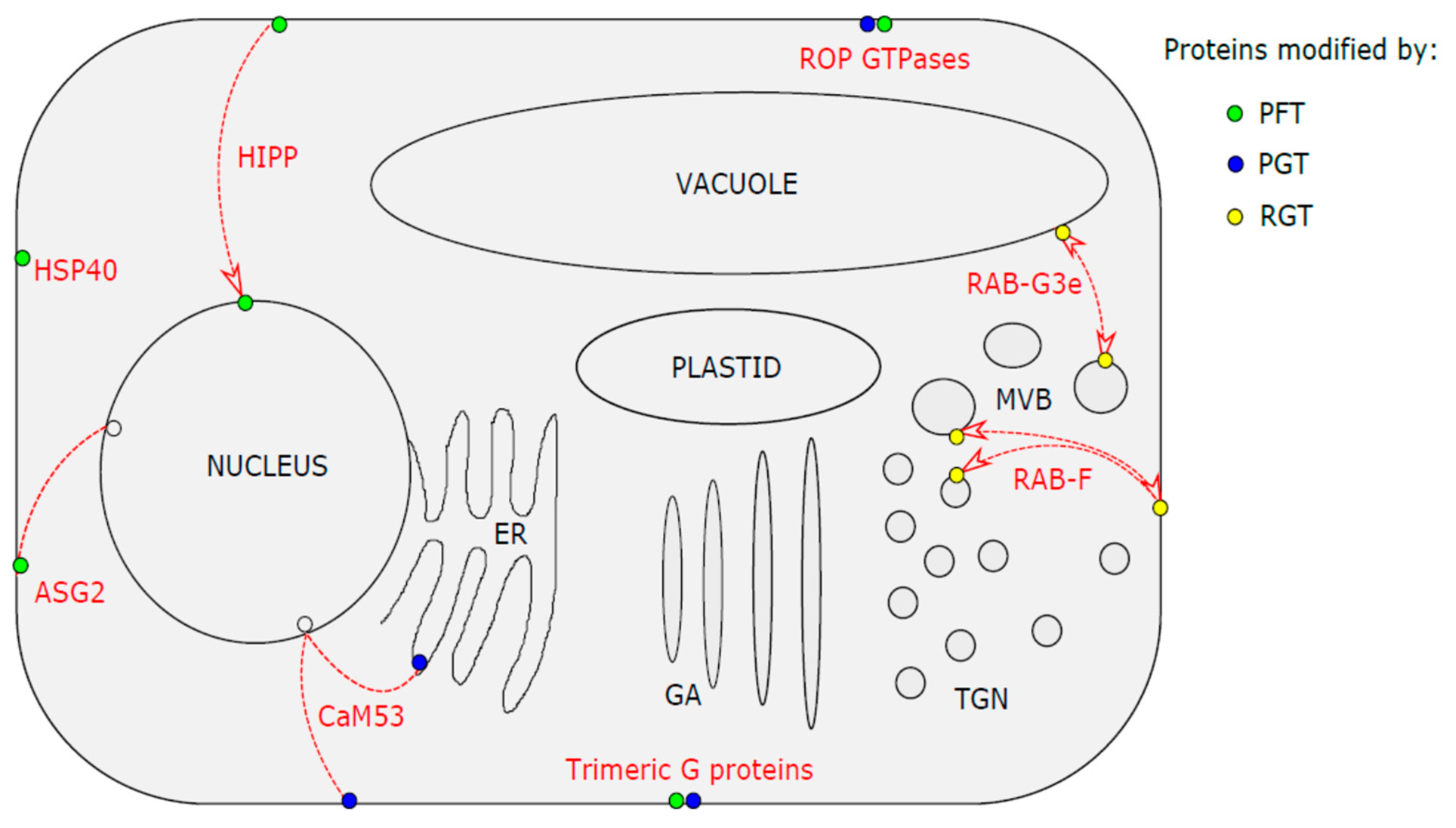 Molecules 24 03906 g002 Molecules 24 03906 g002