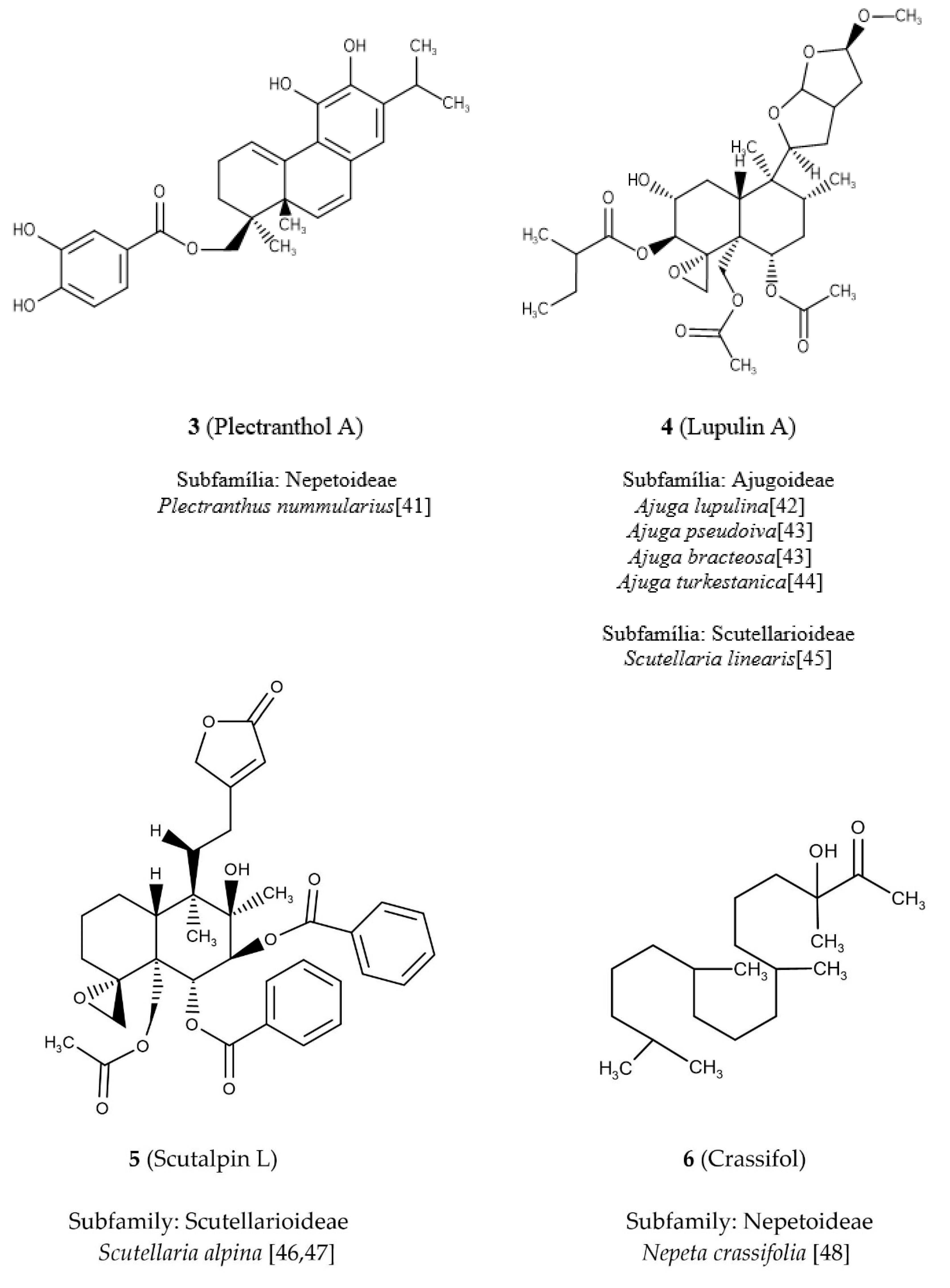 Molecules 24 03908 g003b