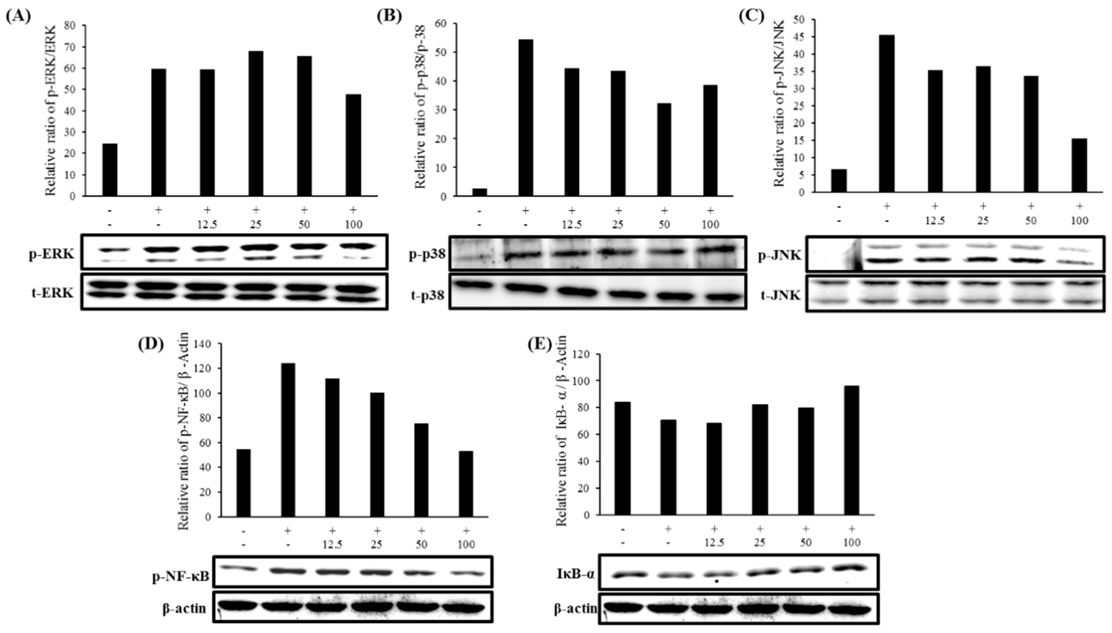 Molecules 24 03910 g005 Molecules 24 03910 g005