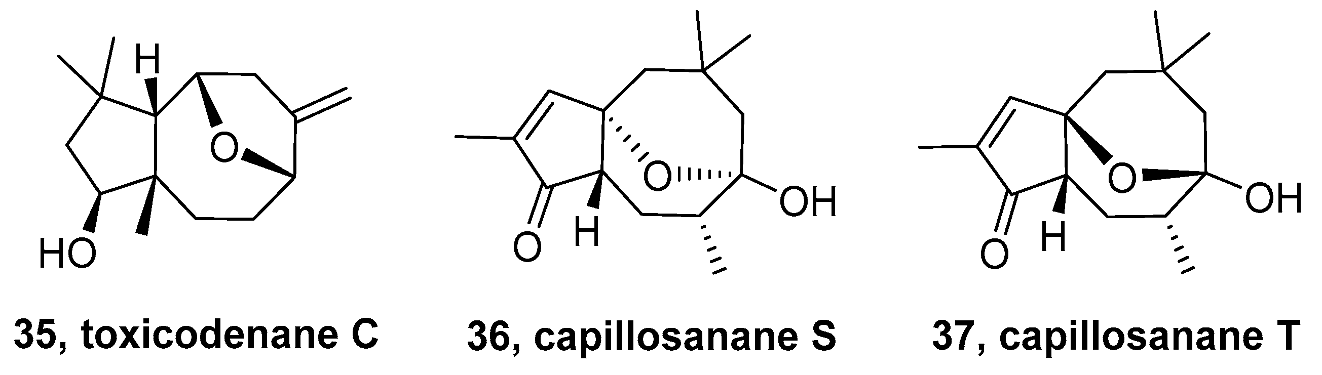 Molecules 24 03912 g005 Molecules 24 03912 g005