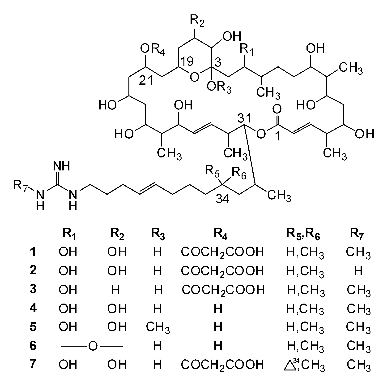 Molecules Free Full Text Guanidine Containing Polyhydroxyl Macrolides Chemistry Biology And Structure Activity Relationship Html