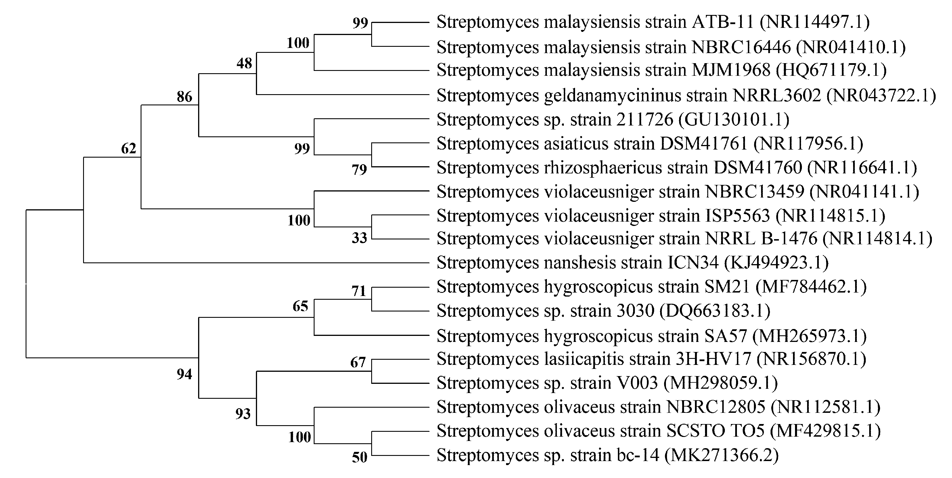 Molecules 24 03913 g004