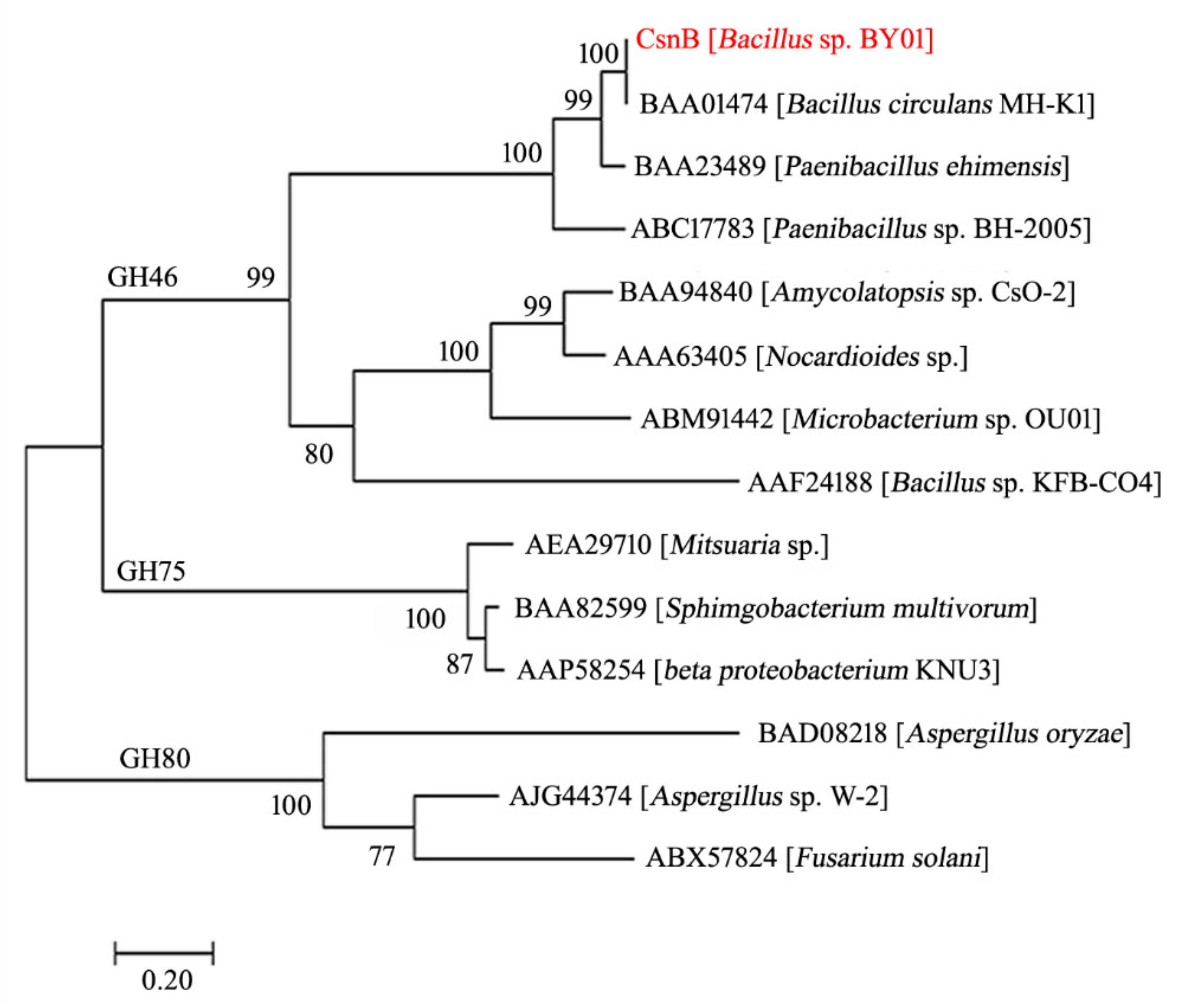 Molecules 24 03915 g001 550