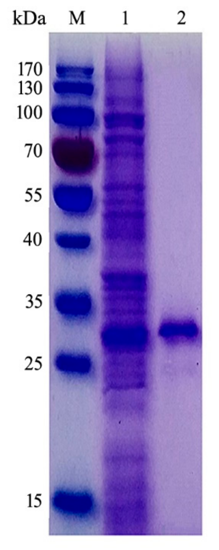 Molecules 24 03915 g003 550