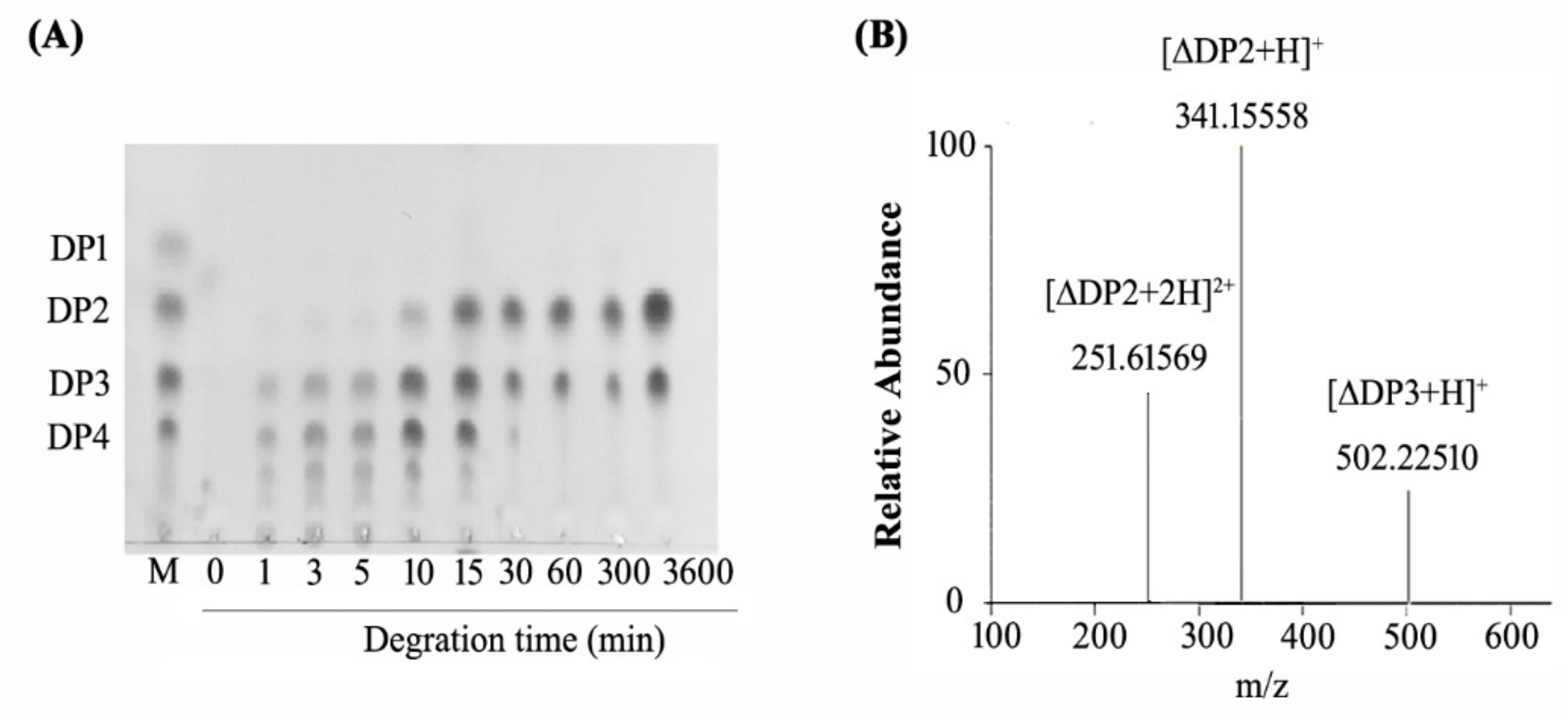 Molecules 24 03915 g006 550