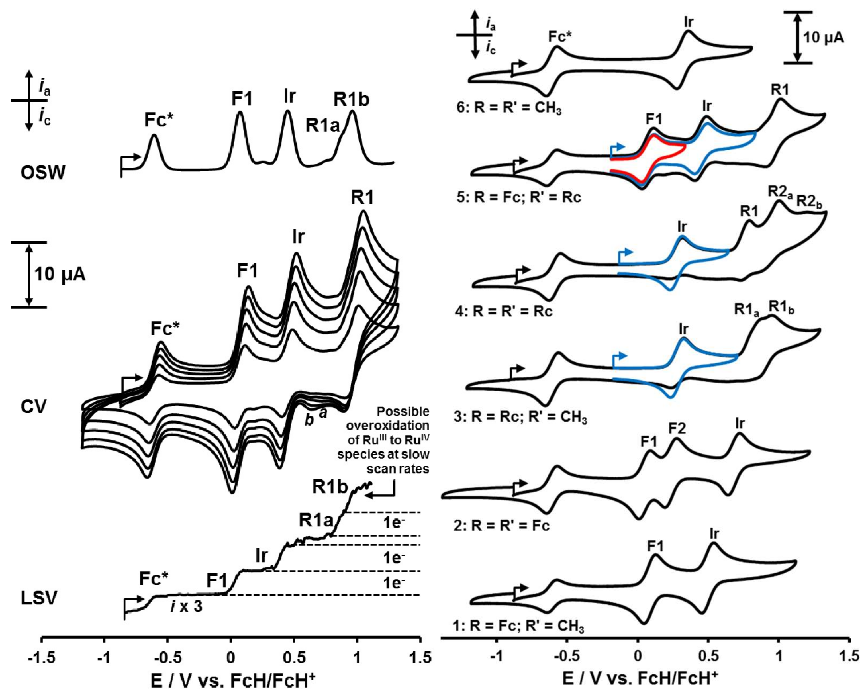 Molecules 24 03923 g003