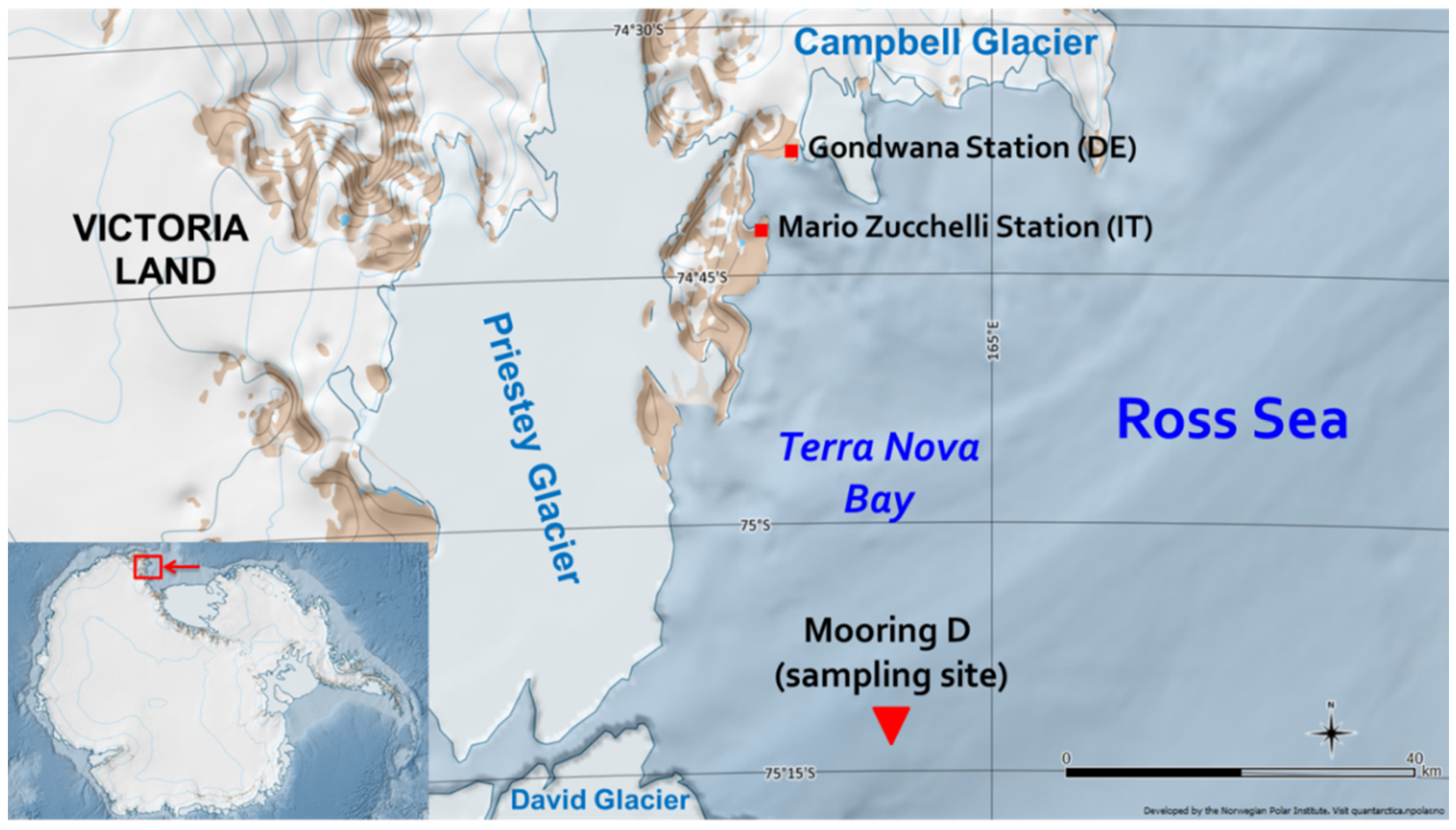 Molecules 24 03927 g003