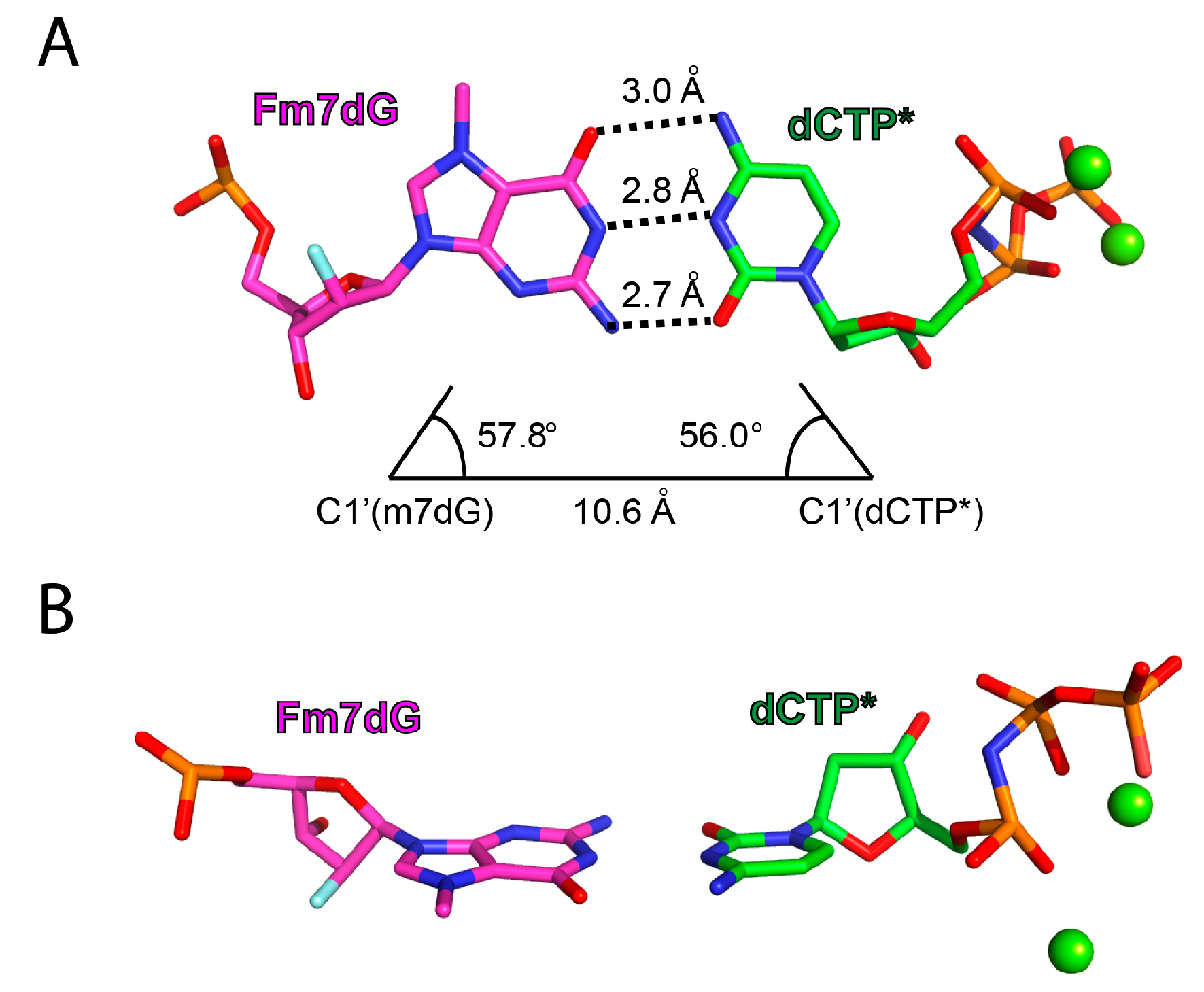 Molecules 24 03928 g007 Molecules 24 03928 g007