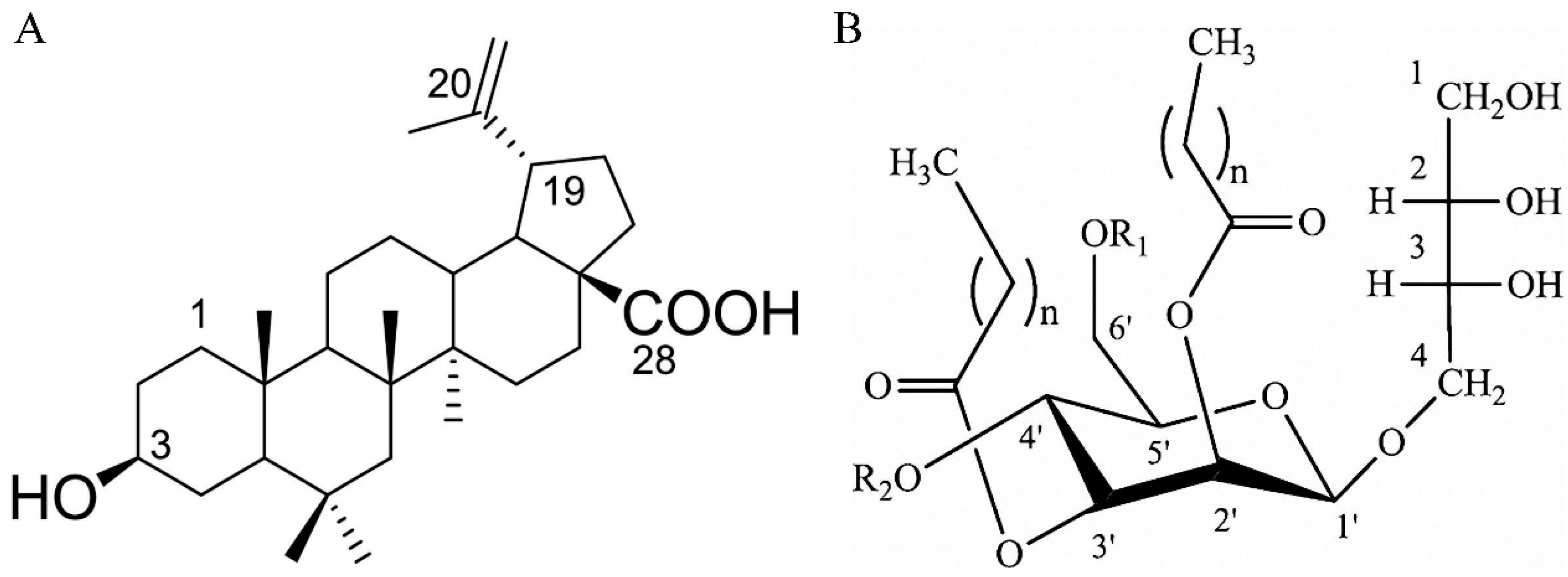 Molecules 24 03939 g001 Molecules 24 03939 g001