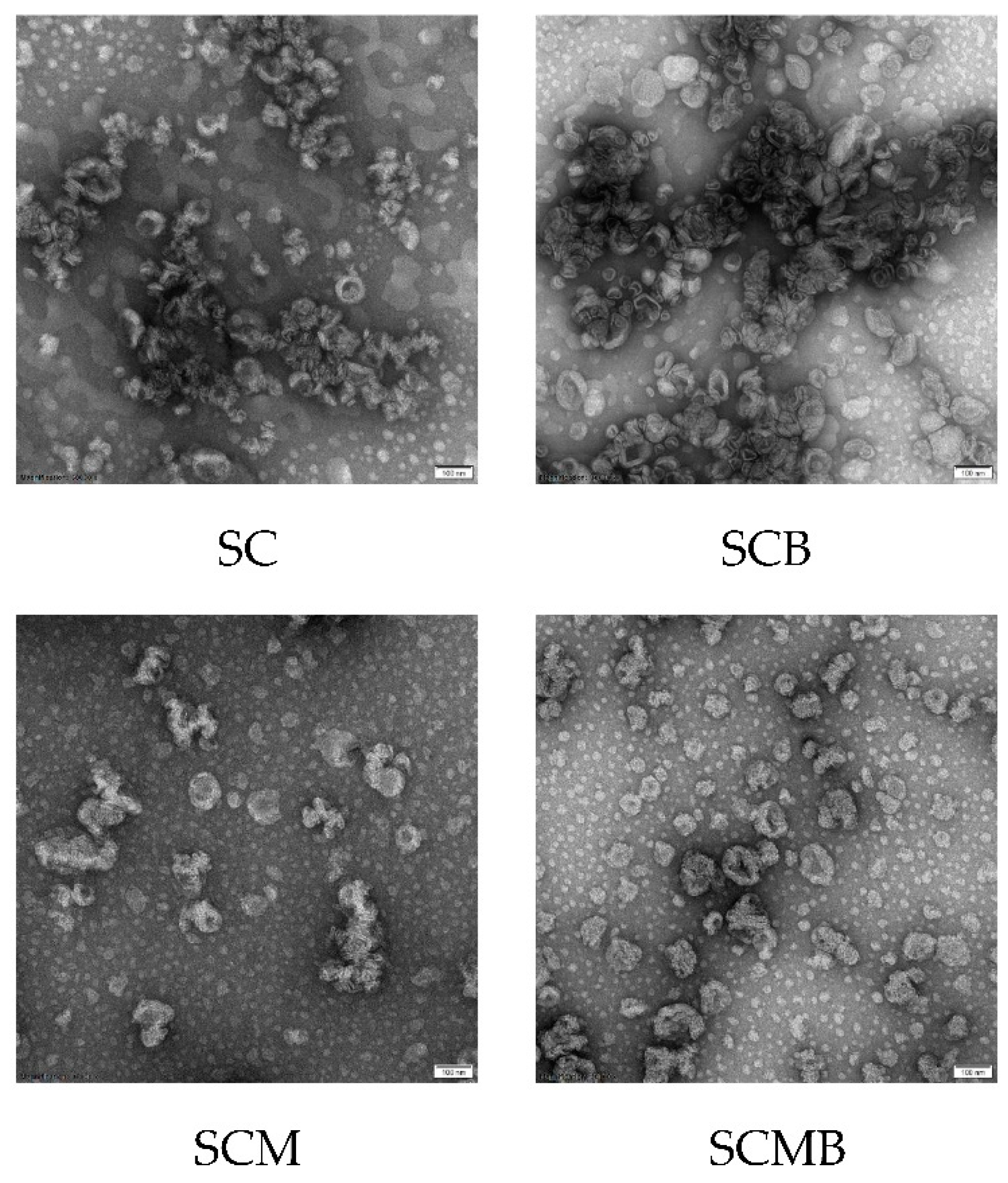 Molecules 24 03939 g005 Molecules 24 03939 g005