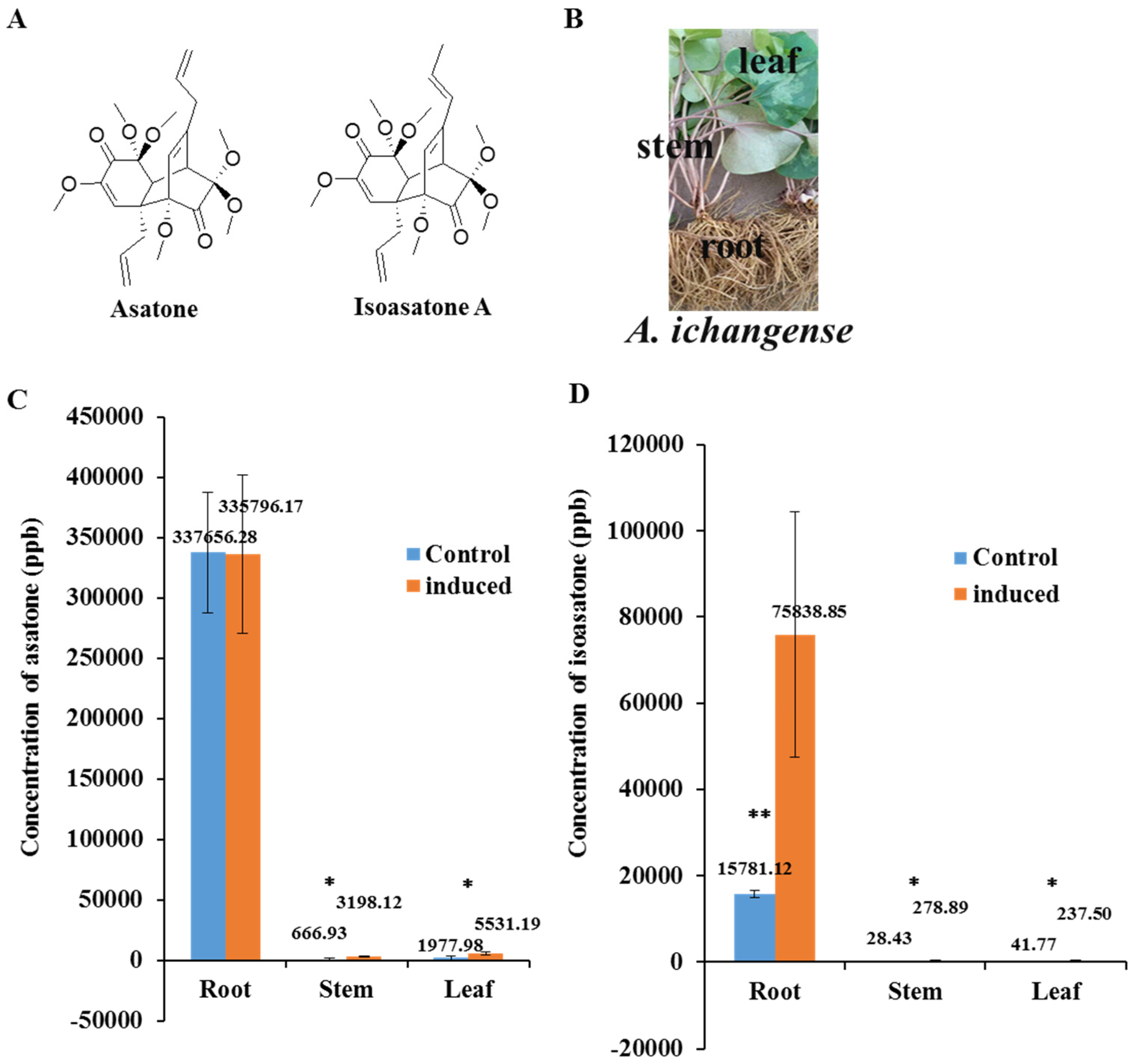Molecules 24 03940 g001 Molecules 24 03940 g001