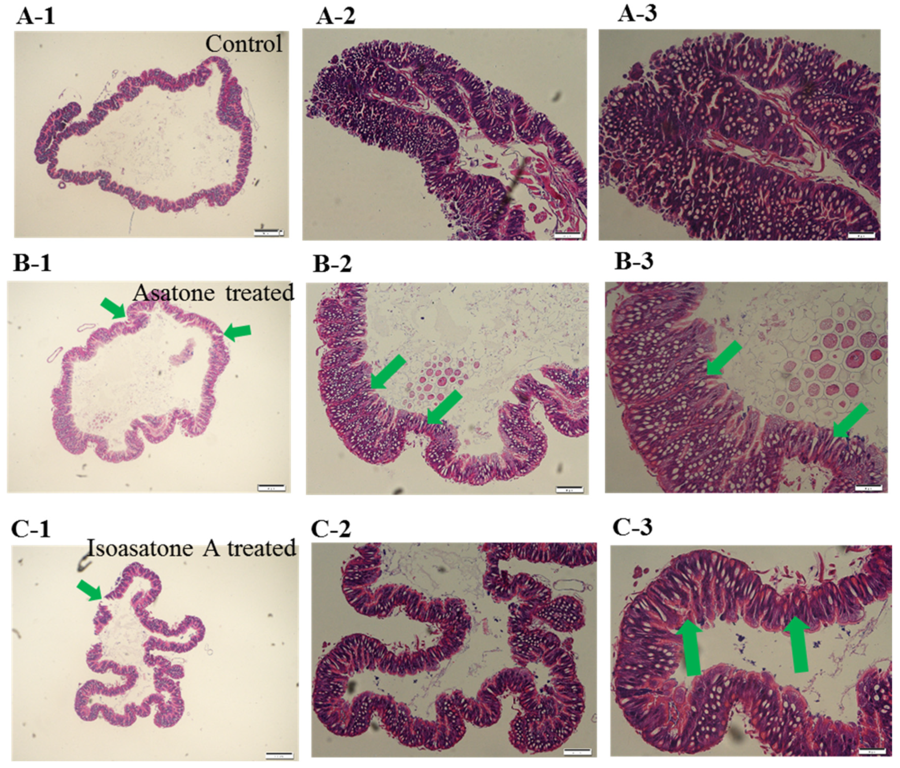 Molecules 24 03940 g003 Molecules 24 03940 g003