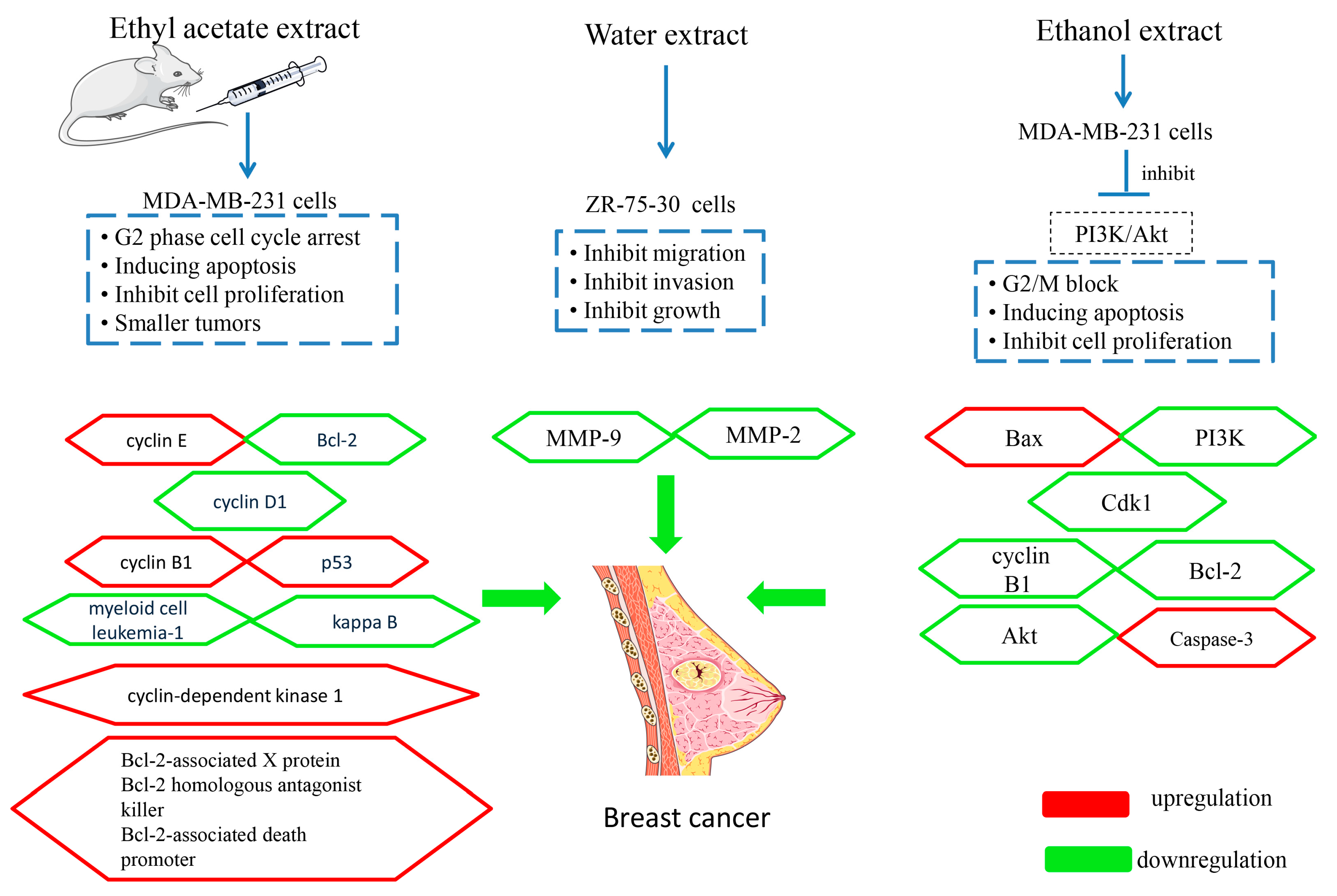 Molecules 24 03949 g009 Molecules 24 03949 g009