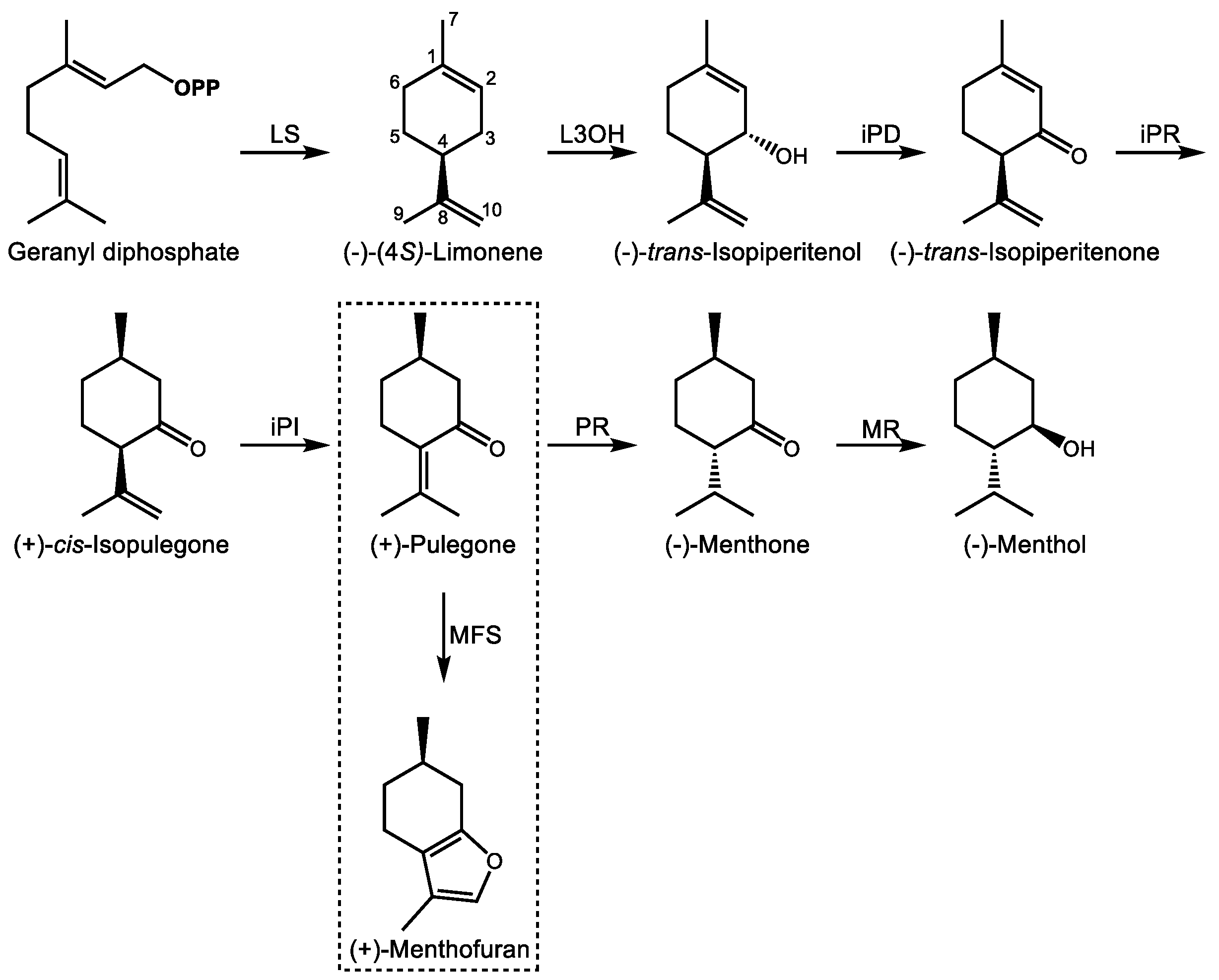 Molecules Free Full Text Medically Useful Plant Terpenoids Biosynthesis Occurrence And Mechanism Of Action Html