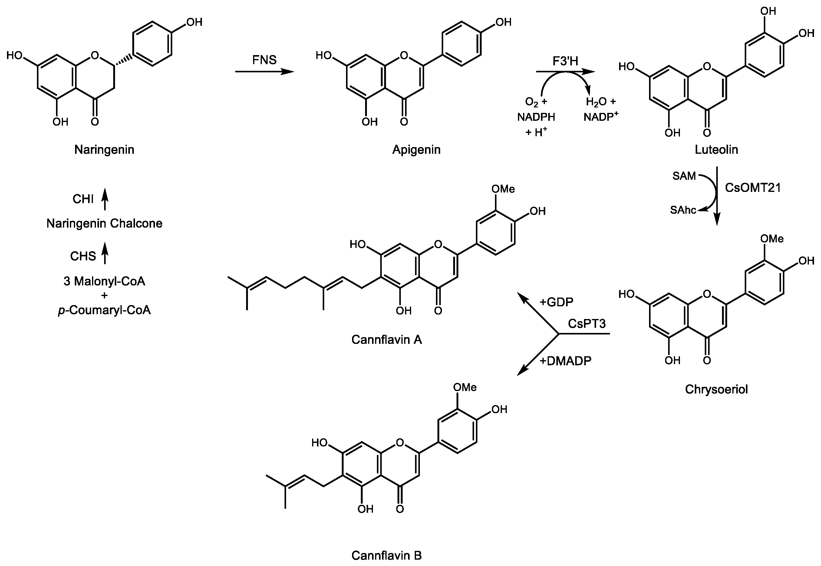 Molecules 24 03961 g005