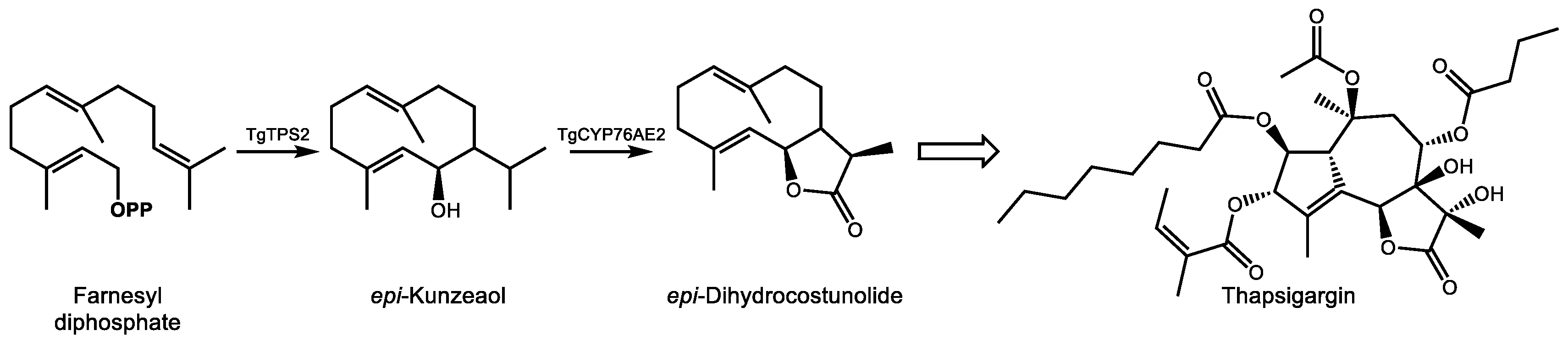 Molecules 24 03961 g007