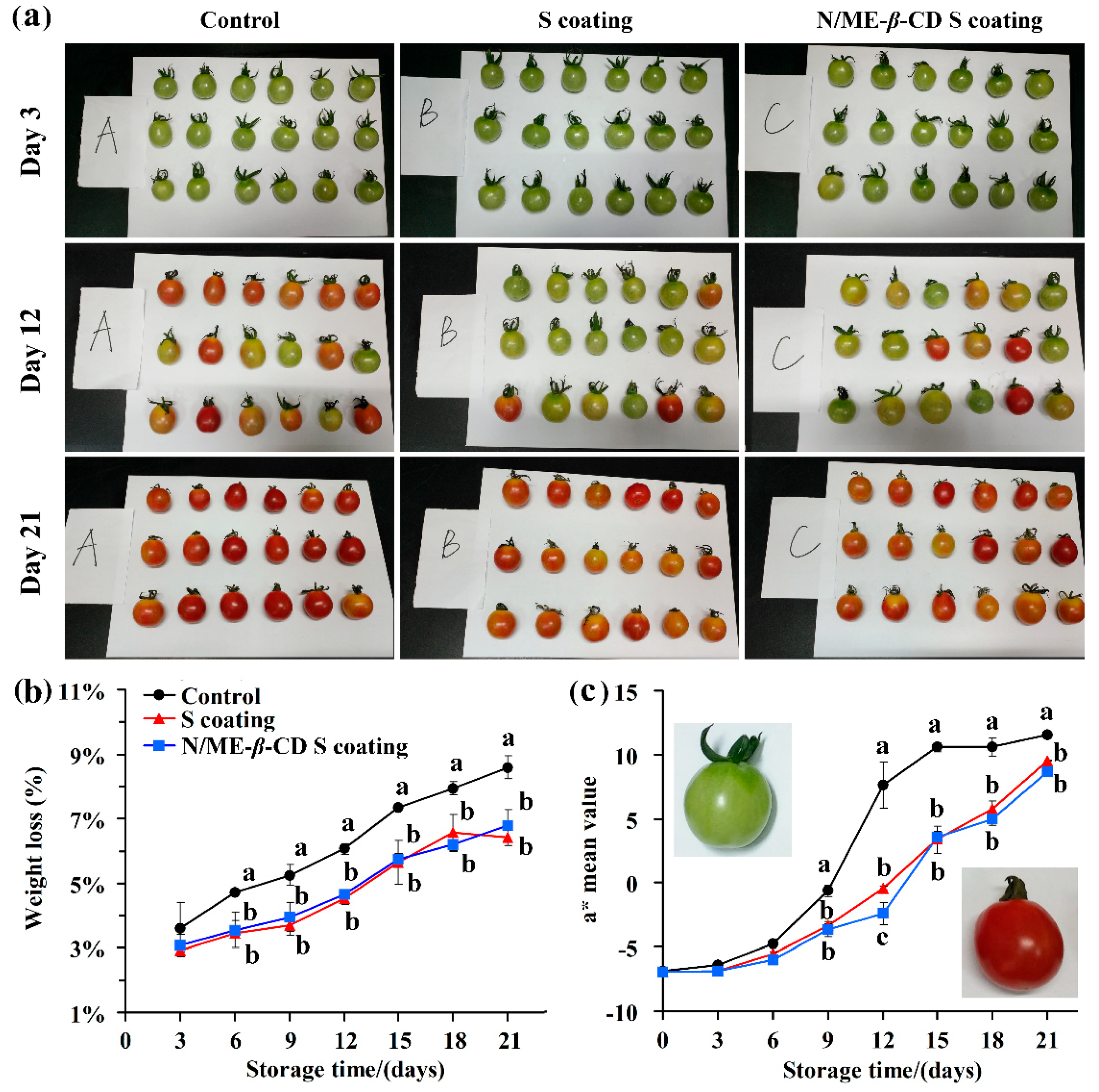 Molecules 24 03962 g005 Molecules 24 03962 g005