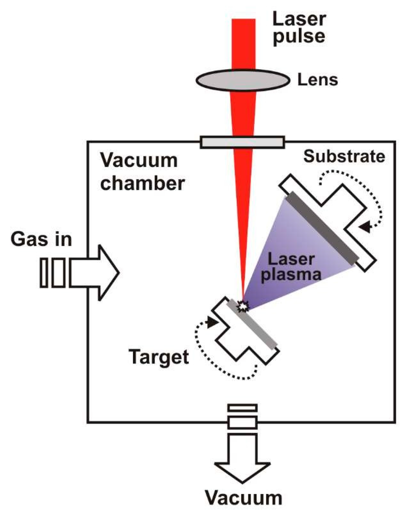 Molecules 24 03965 g008