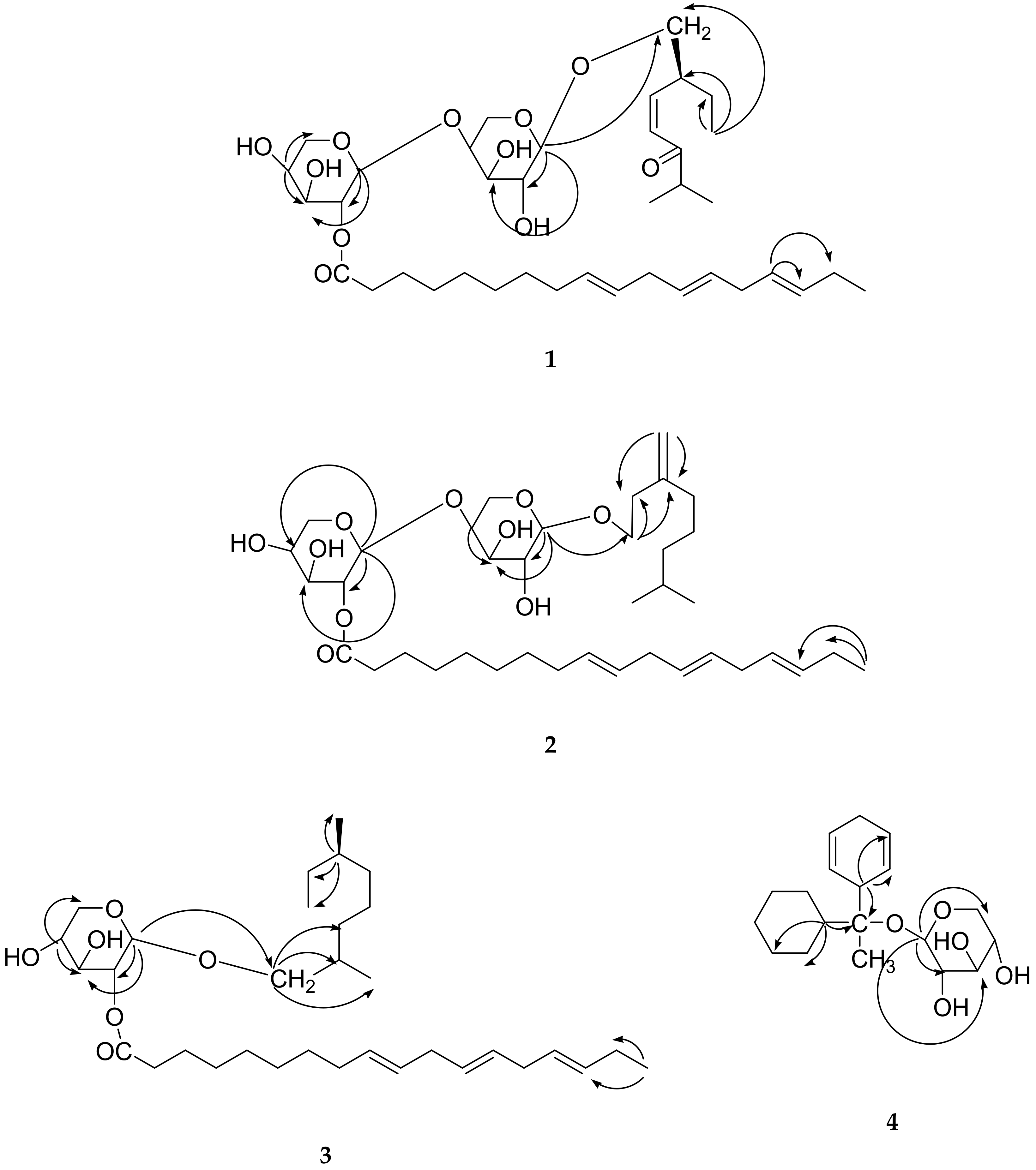 Molecules 24 03967 g004