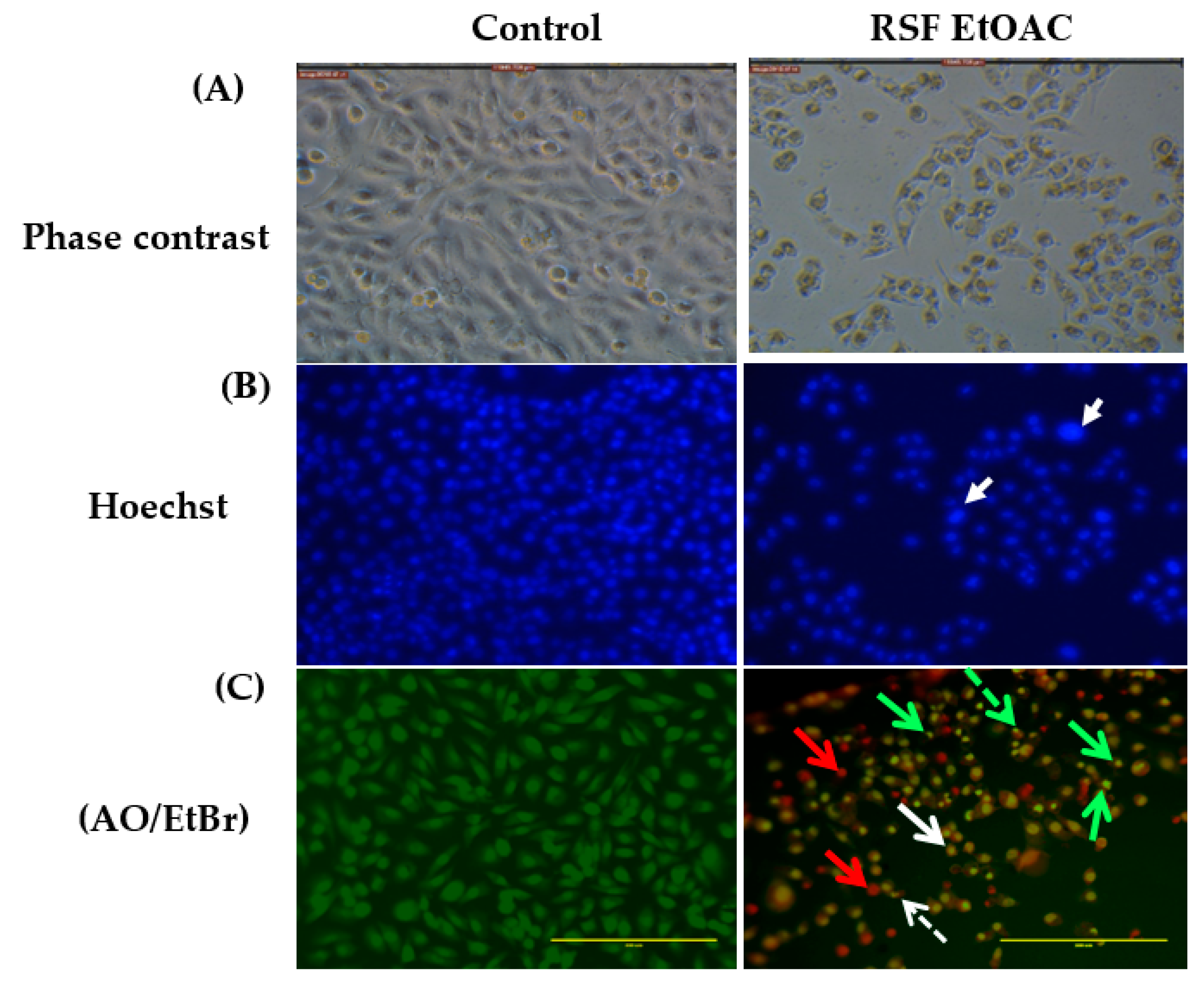 Molecules 24 03968 g002 Molecules 24 03968 g002