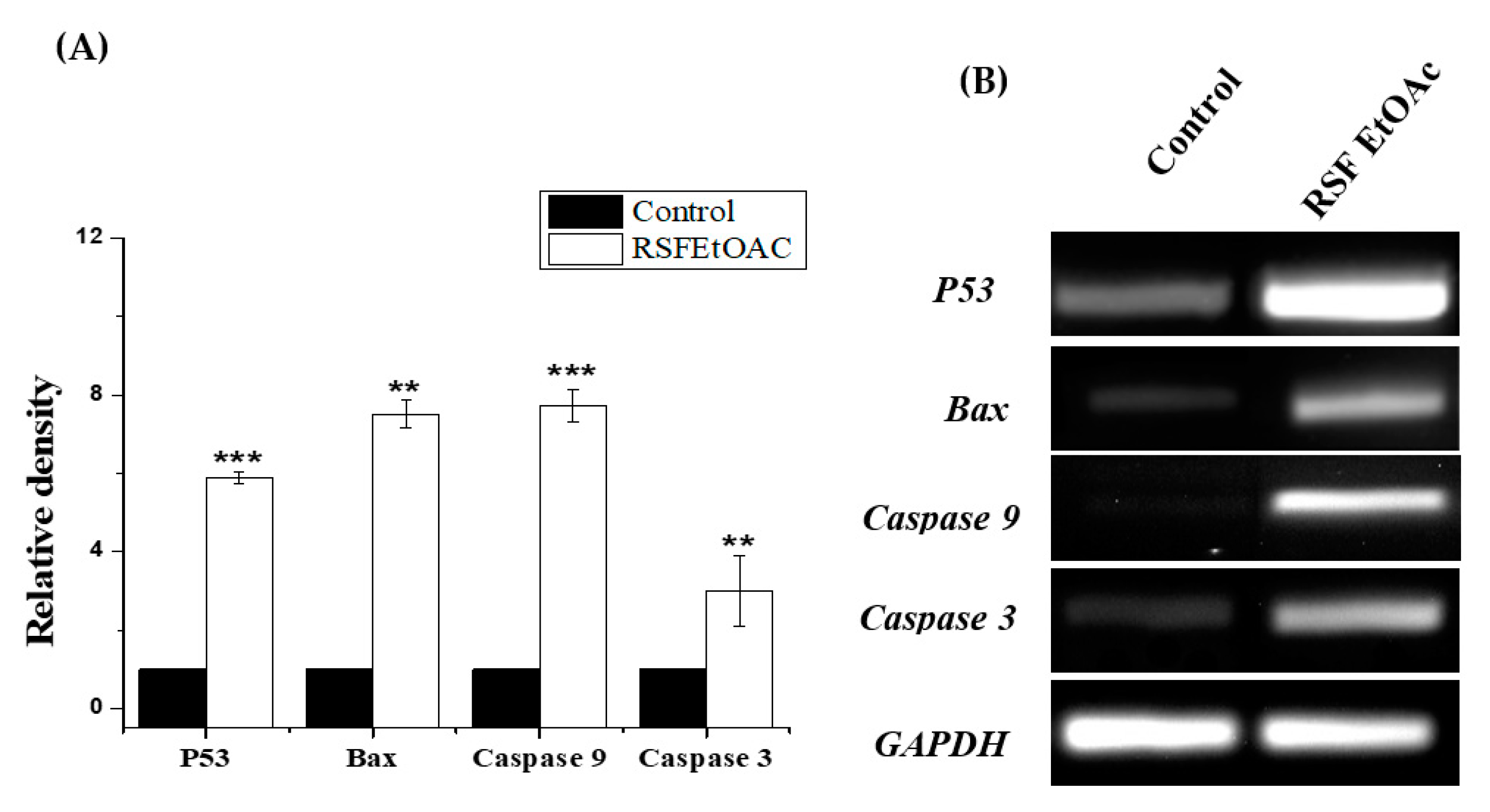 Molecules 24 03968 g003 Molecules 24 03968 g003