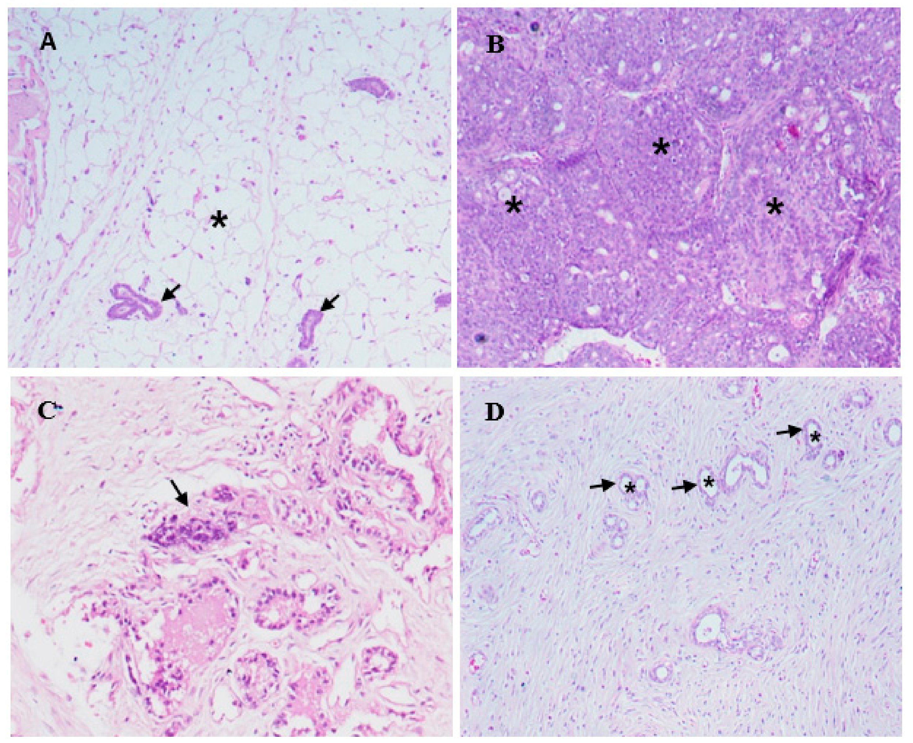 Molecules 24 03968 g008 Molecules 24 03968 g008