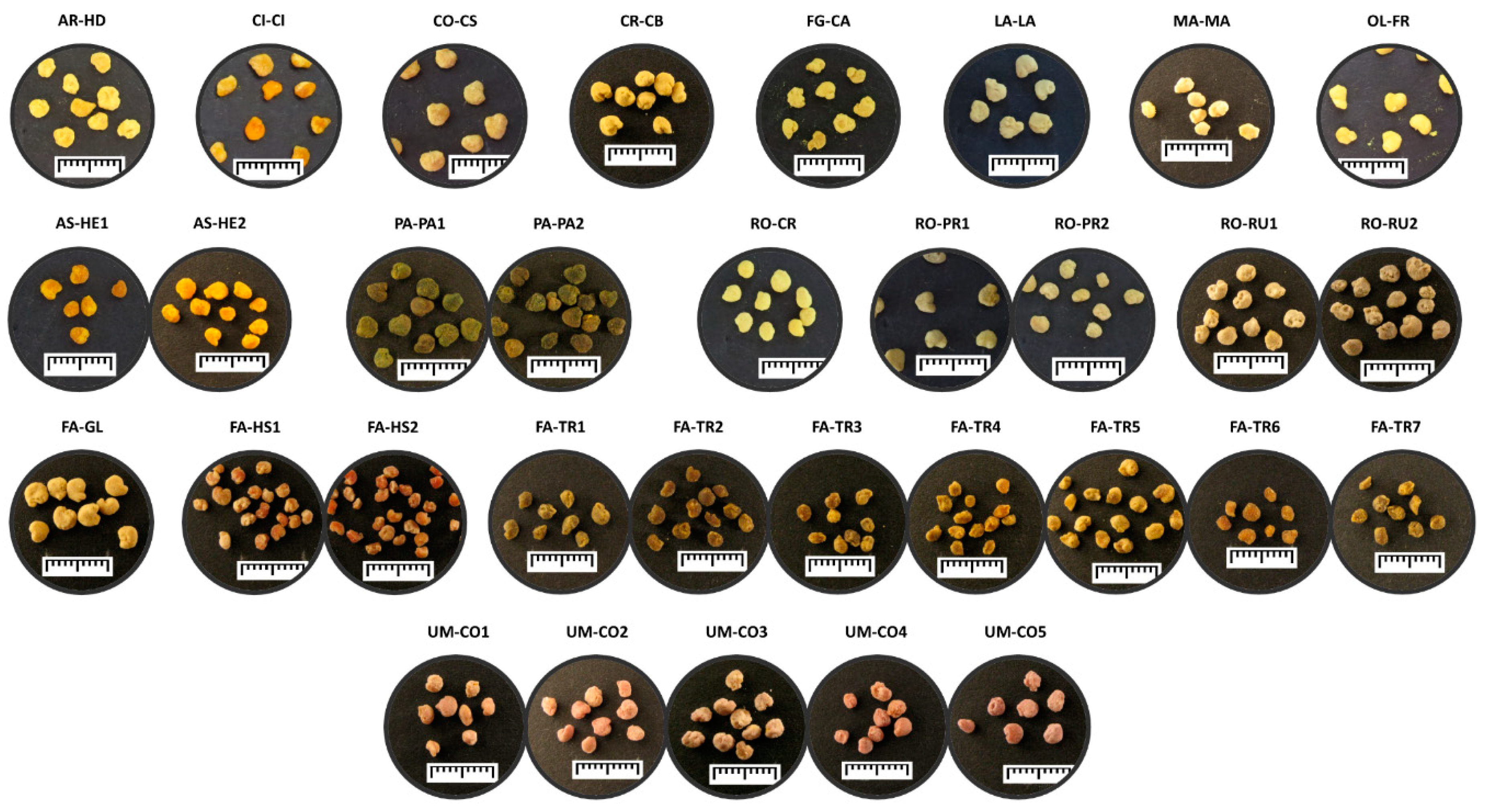 Molecules 24 03974 g001 Molecules 24 03974 g001
