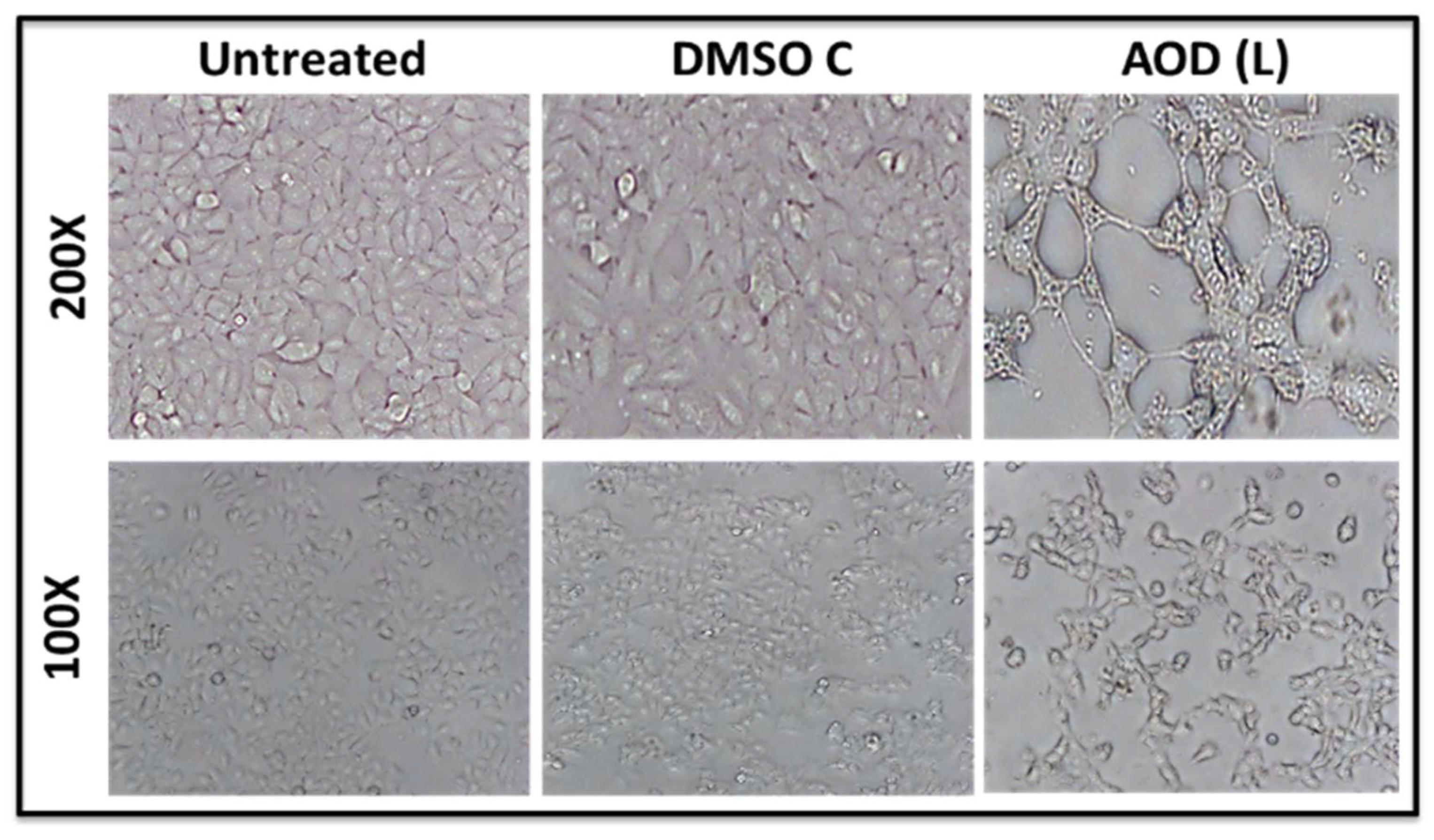 Molecules 24 03976 g004