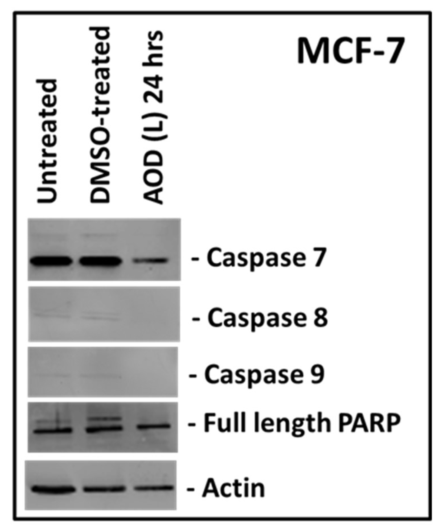 Molecules 24 03976 g005