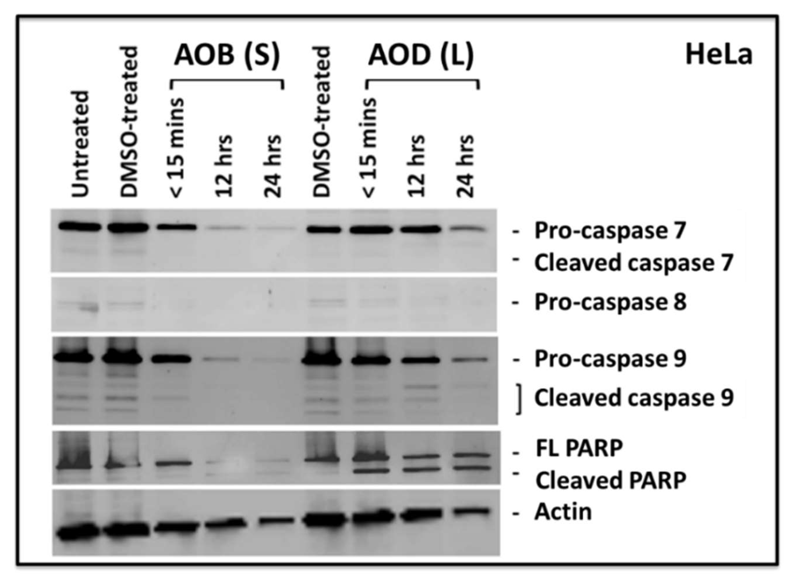 Molecules 24 03976 g006