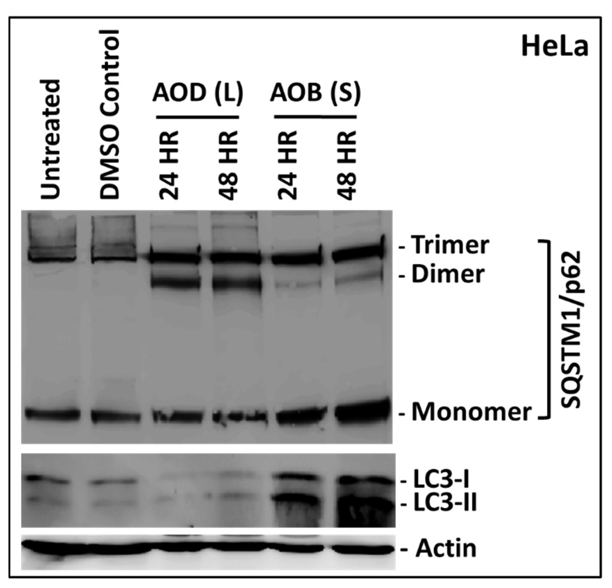 Molecules 24 03976 g009