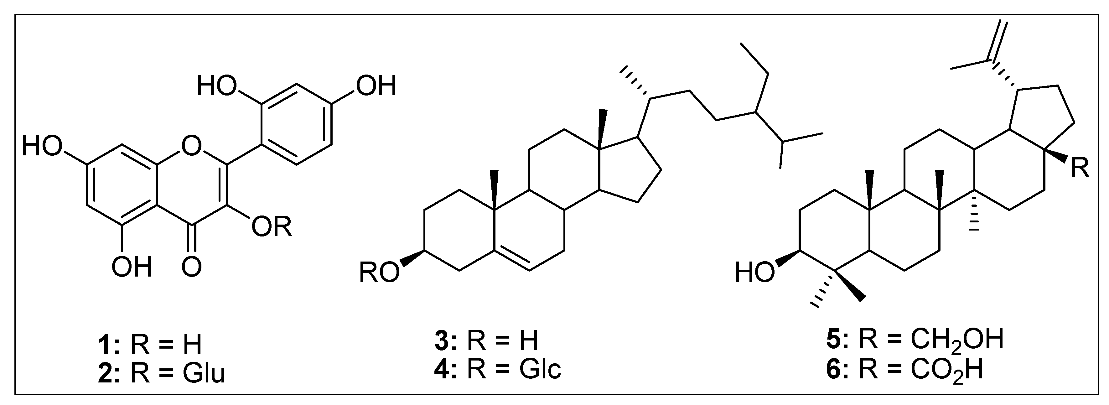 Molecules 24 03976 g010