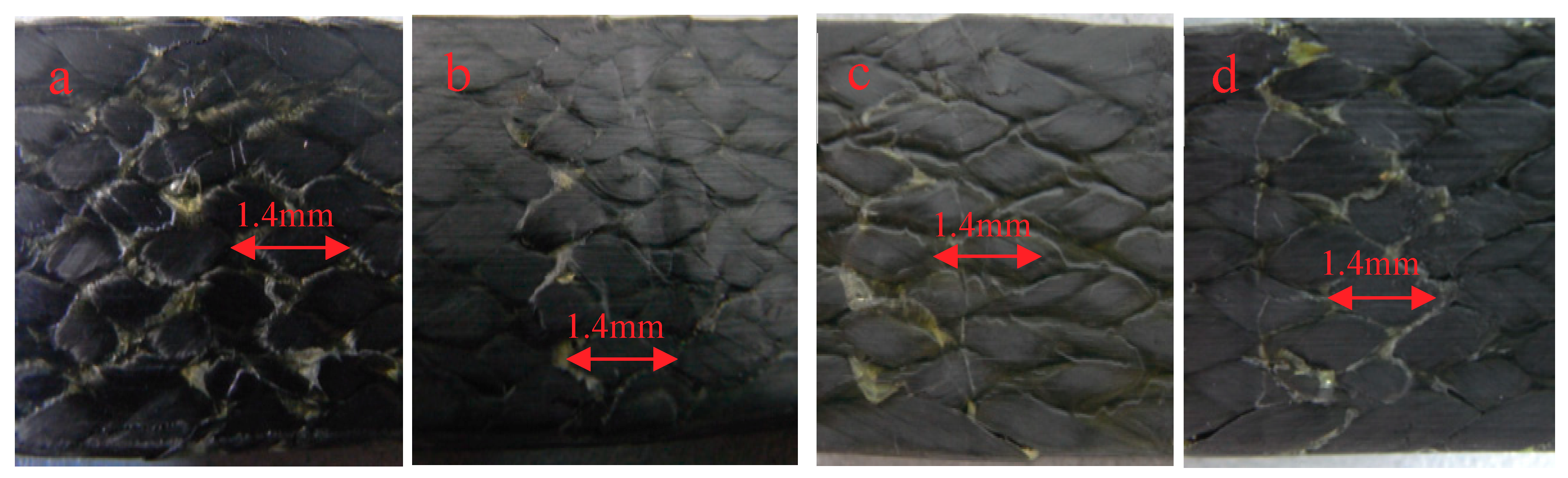 Molecules 24 03977 g006 Molecules 24 03977 g006