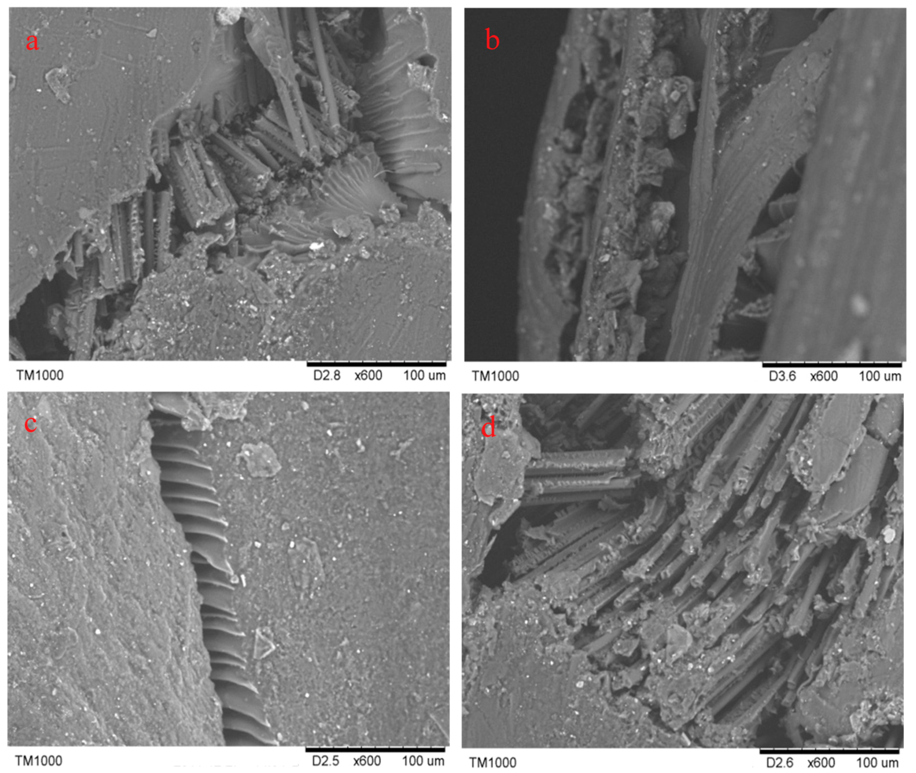 Molecules 24 03977 g008 Molecules 24 03977 g008