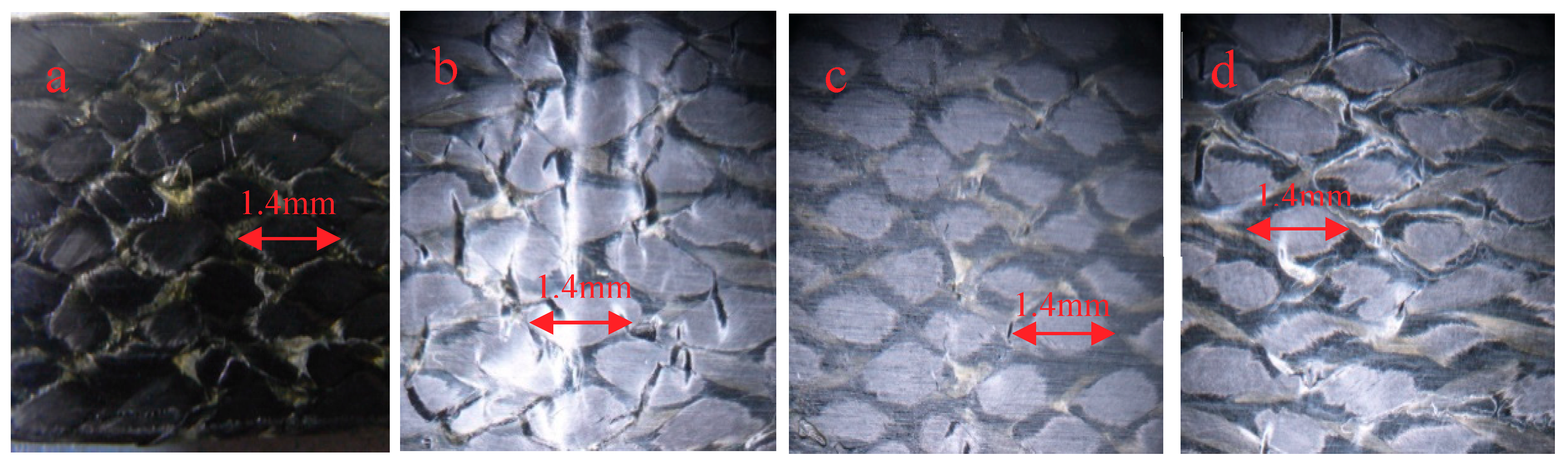 Molecules 24 03977 g009 Molecules 24 03977 g009