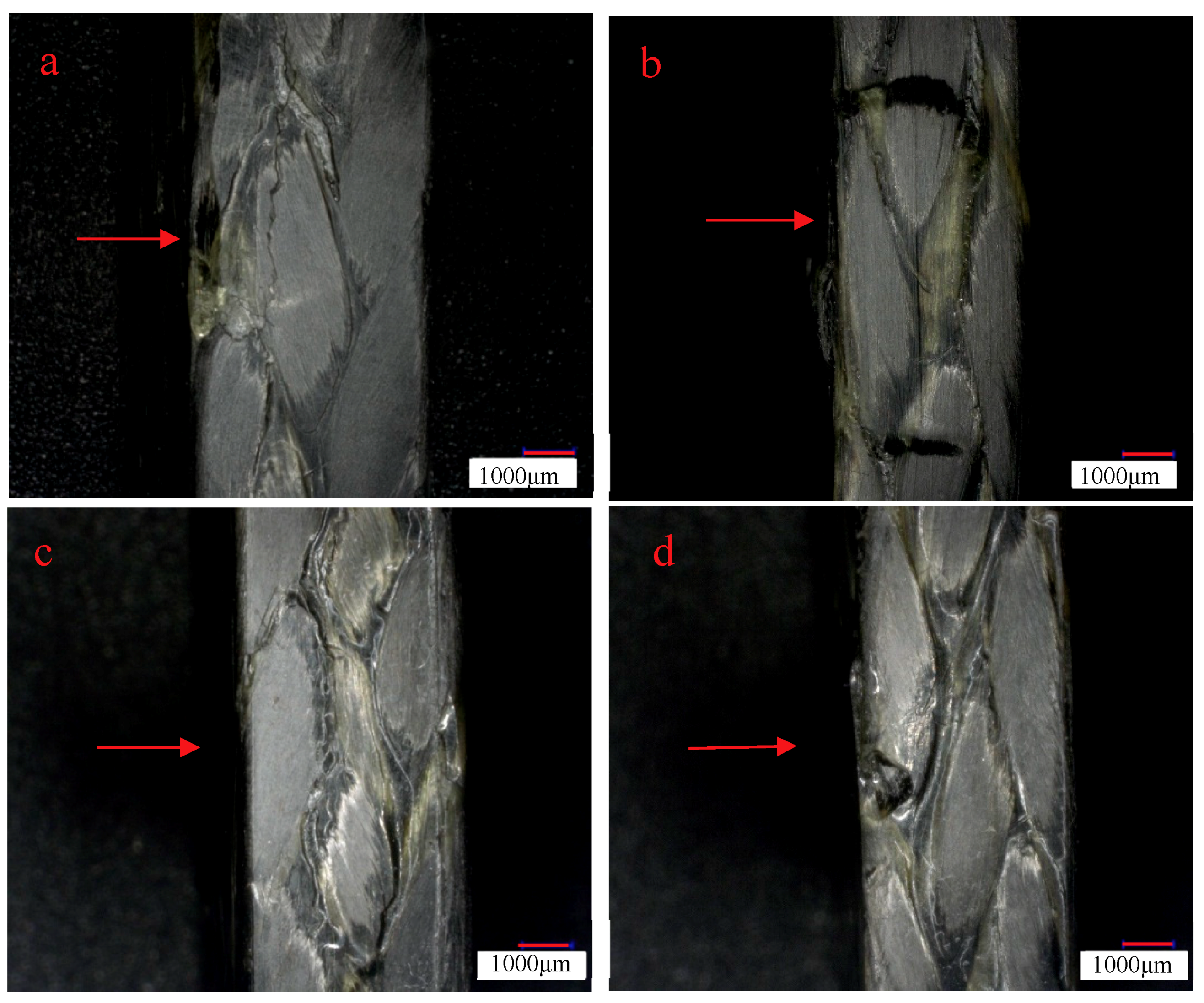 Molecules 24 03977 g010 Molecules 24 03977 g010
