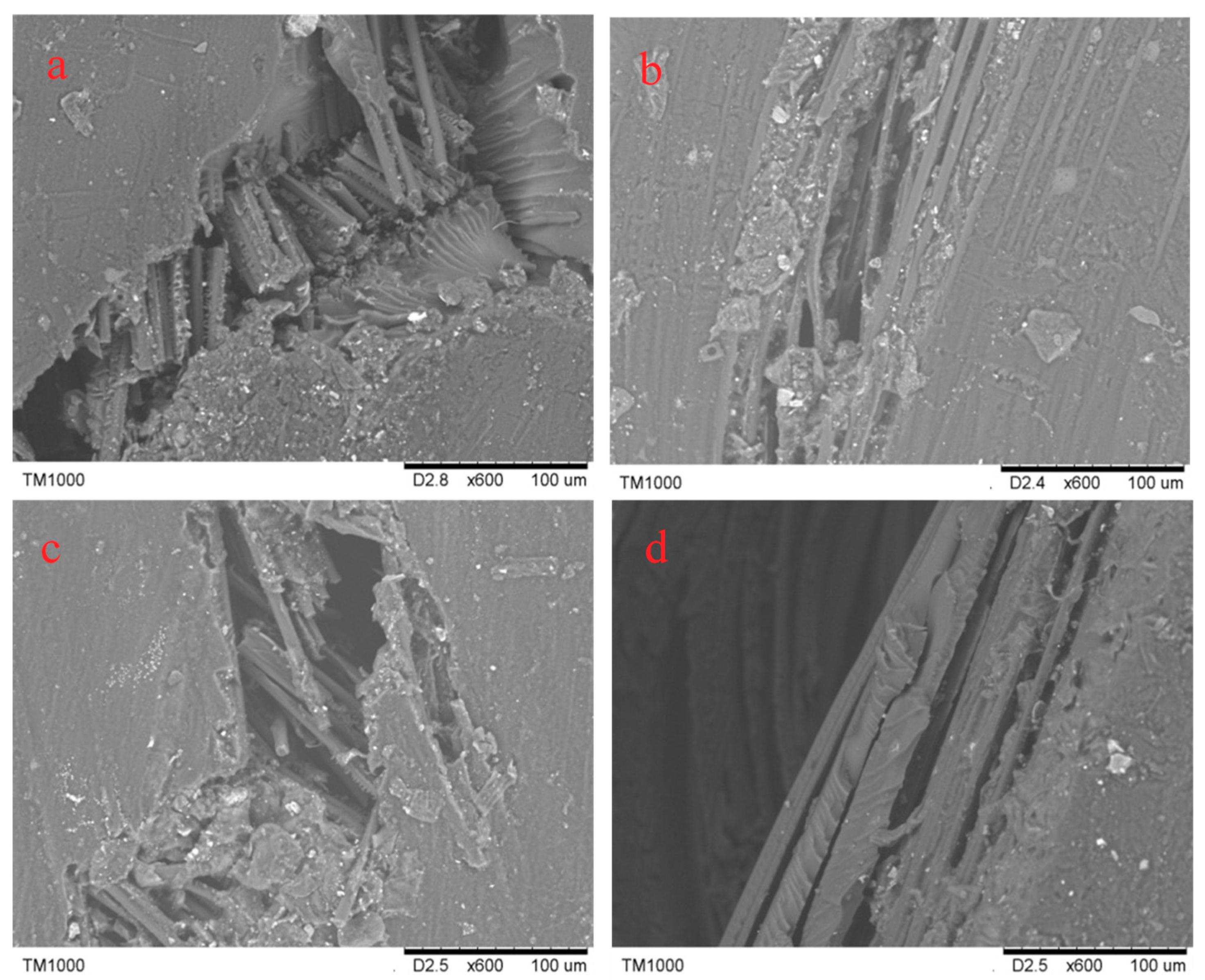 Molecules 24 03977 g011 Molecules 24 03977 g011
