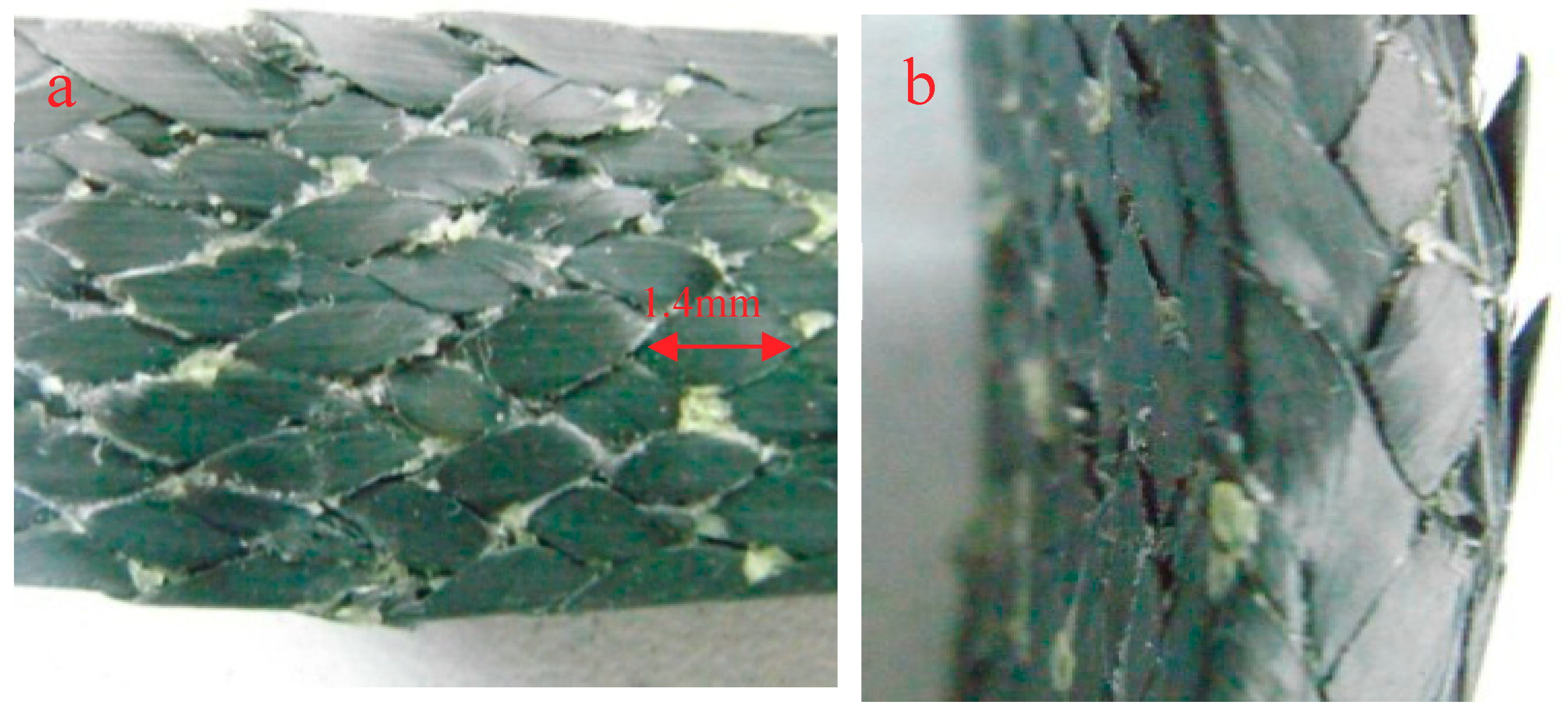 Molecules 24 03977 g012 Molecules 24 03977 g012