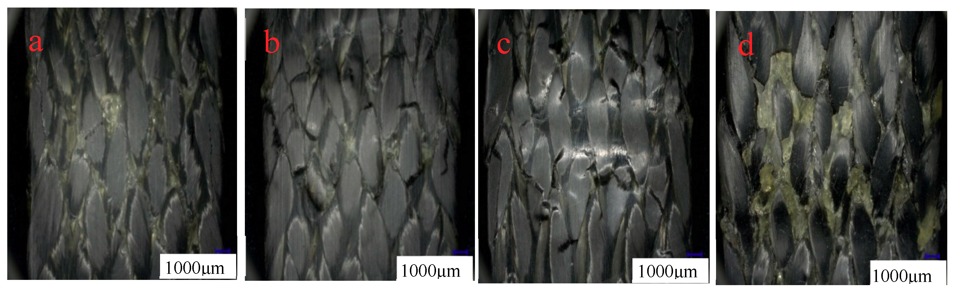 Molecules 24 03977 g013 Molecules 24 03977 g013