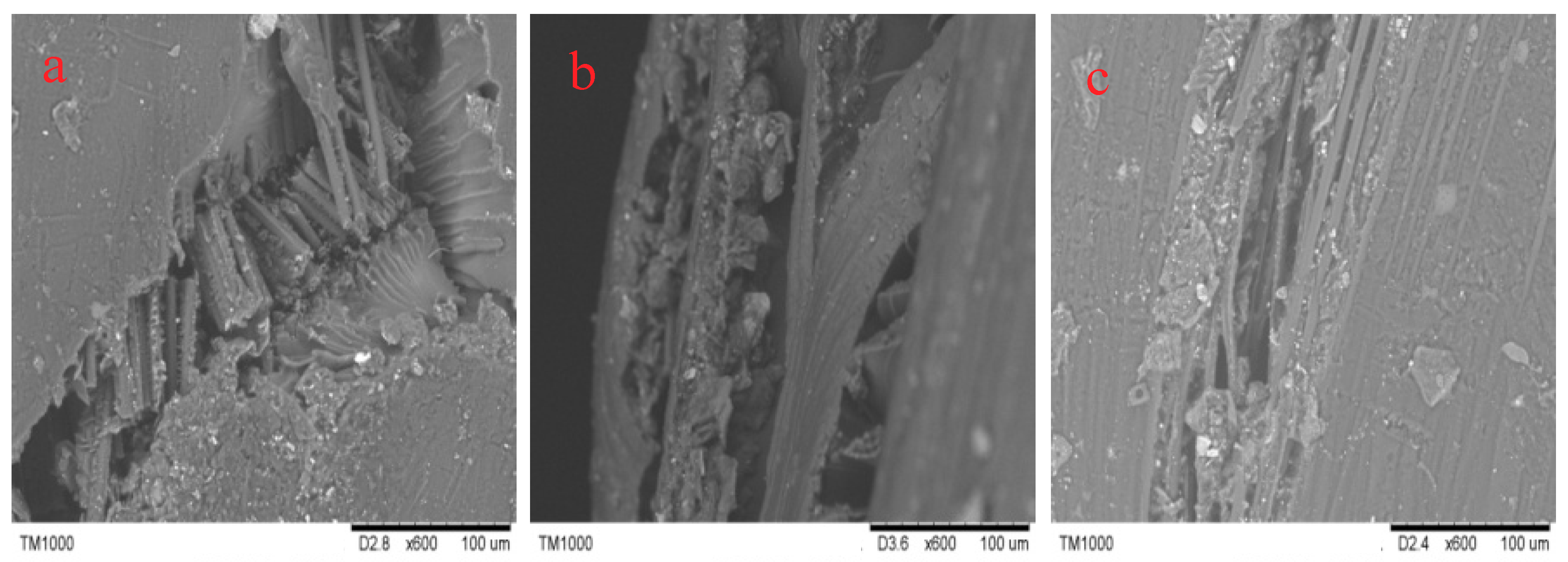 Molecules 24 03977 g015 Molecules 24 03977 g015