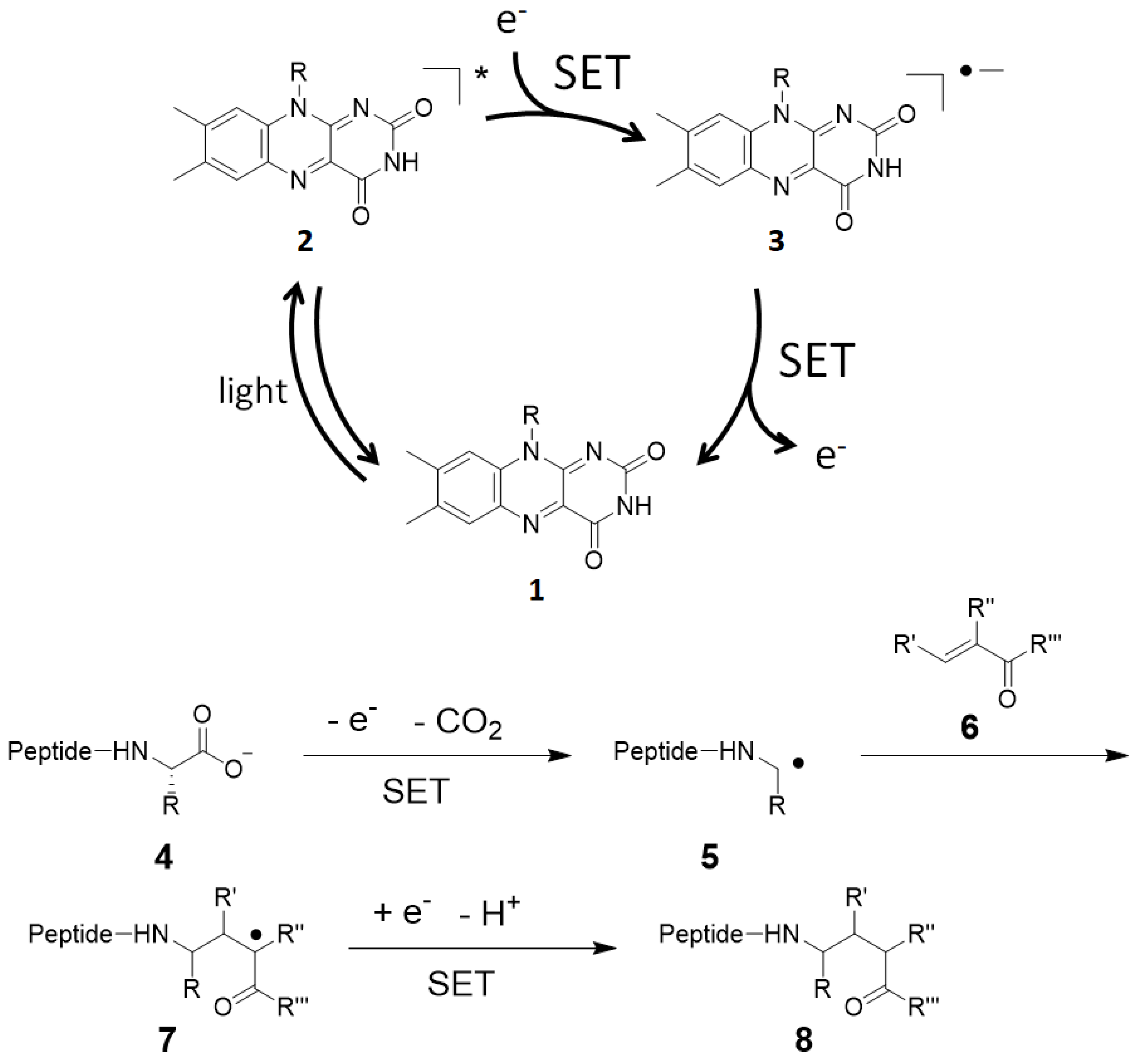 Molecules 24 03980 g005