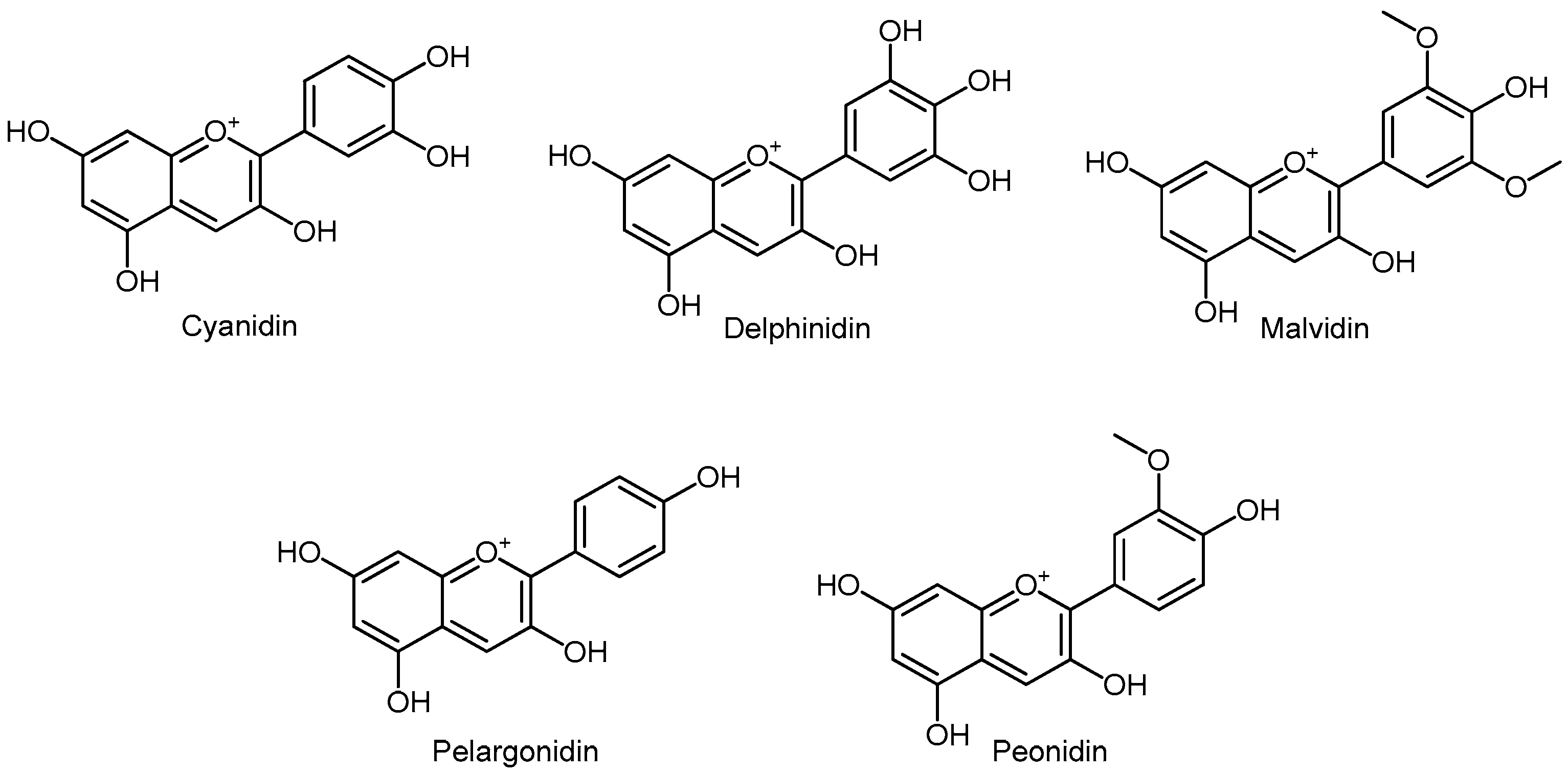 Molecules 24 03982 g009 Molecules 24 03982 g009