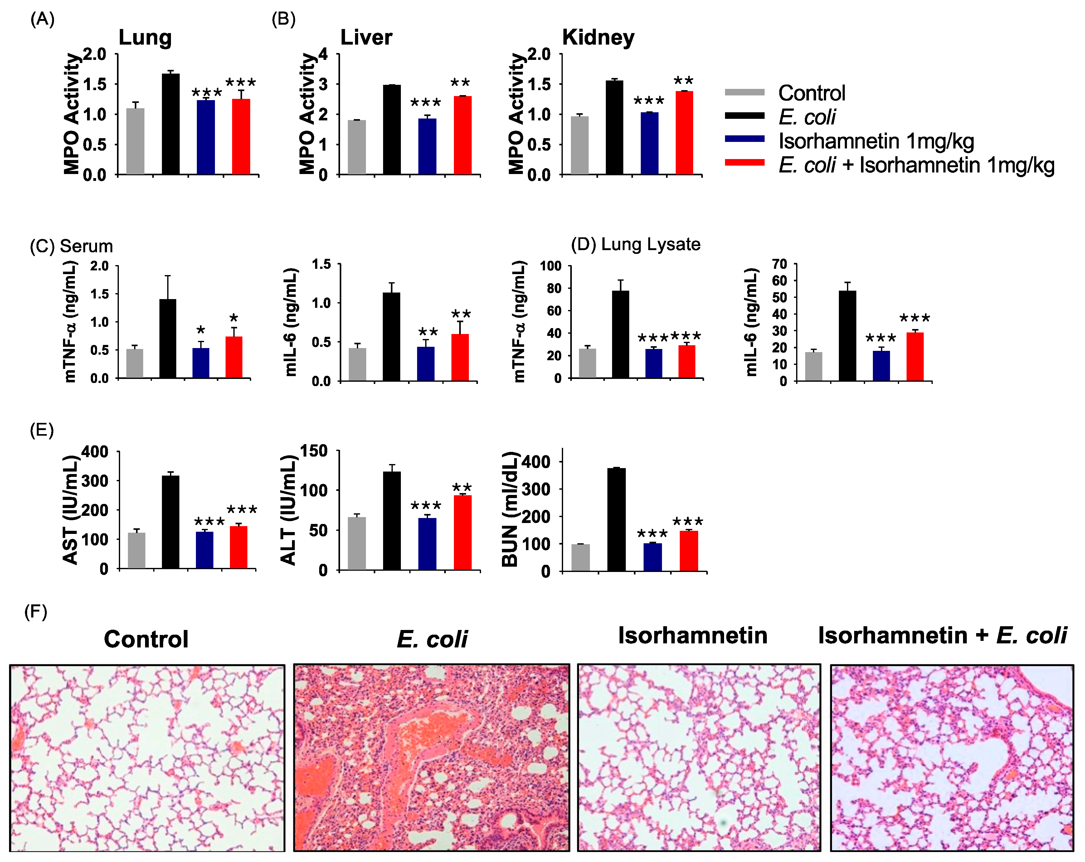 Molecules 24 03984 g003 Molecules 24 03984 g003