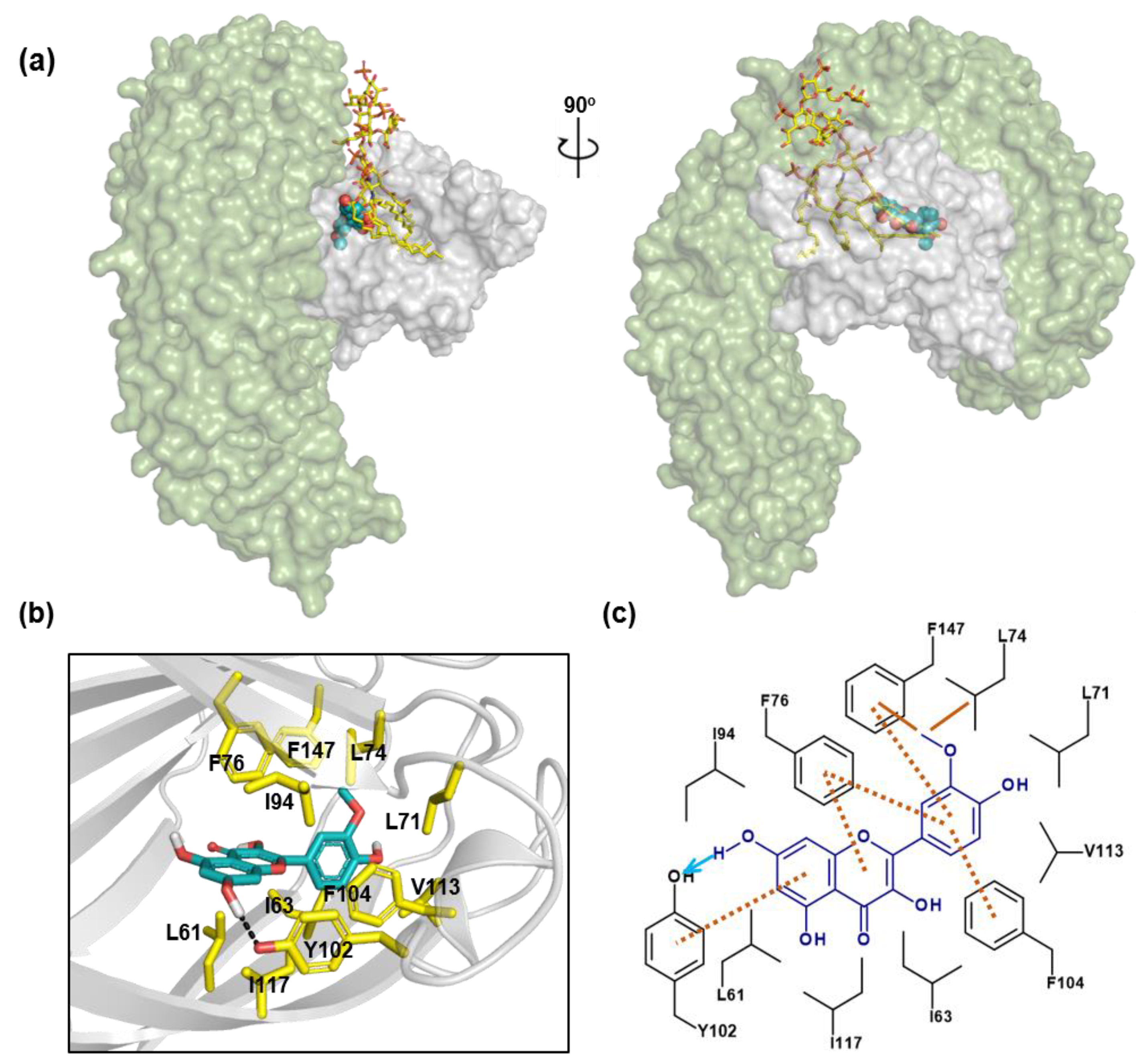 Molecules 24 03984 g005 Molecules 24 03984 g005
