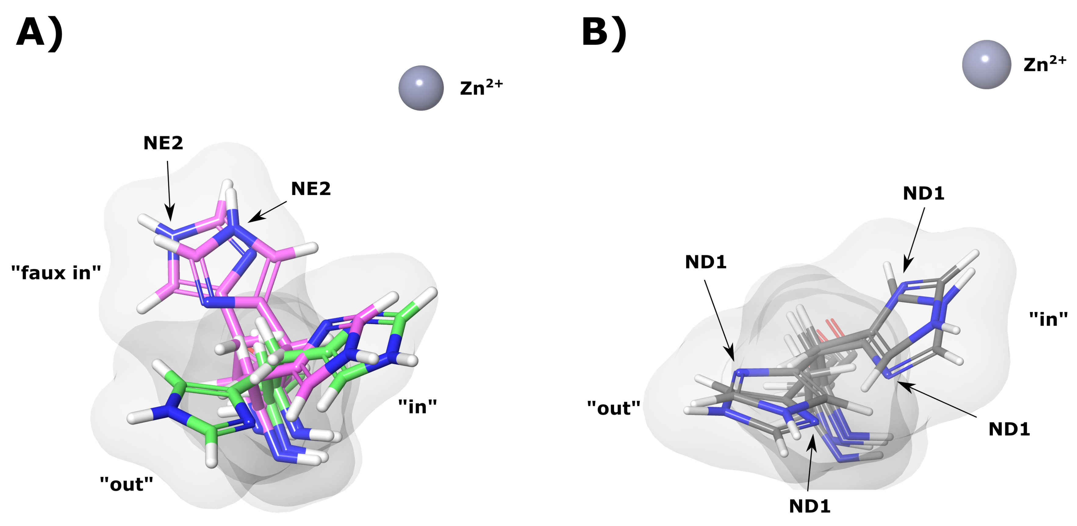 Molecules 24 03987 g010