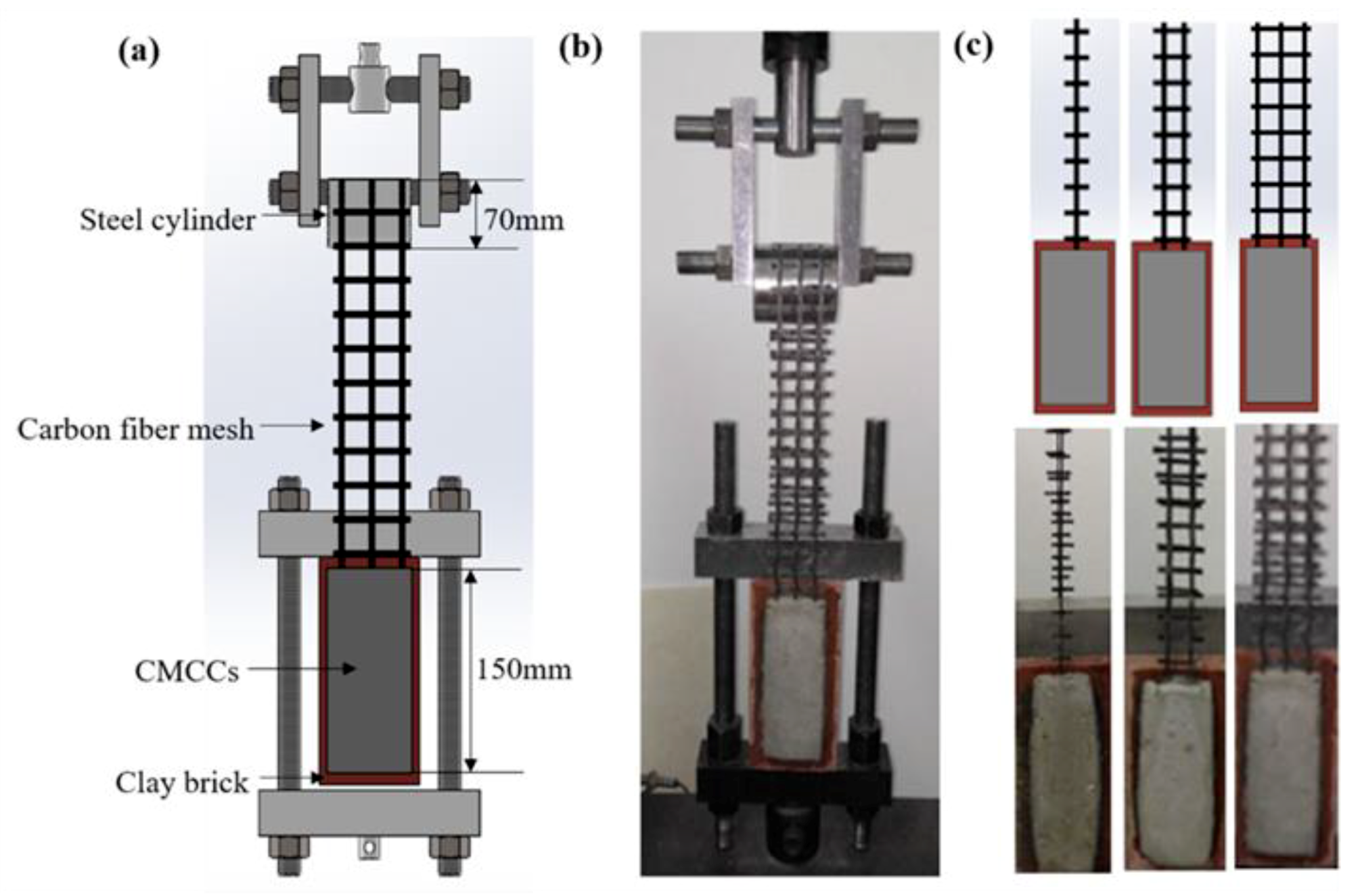 Molecules 24 03989 g001