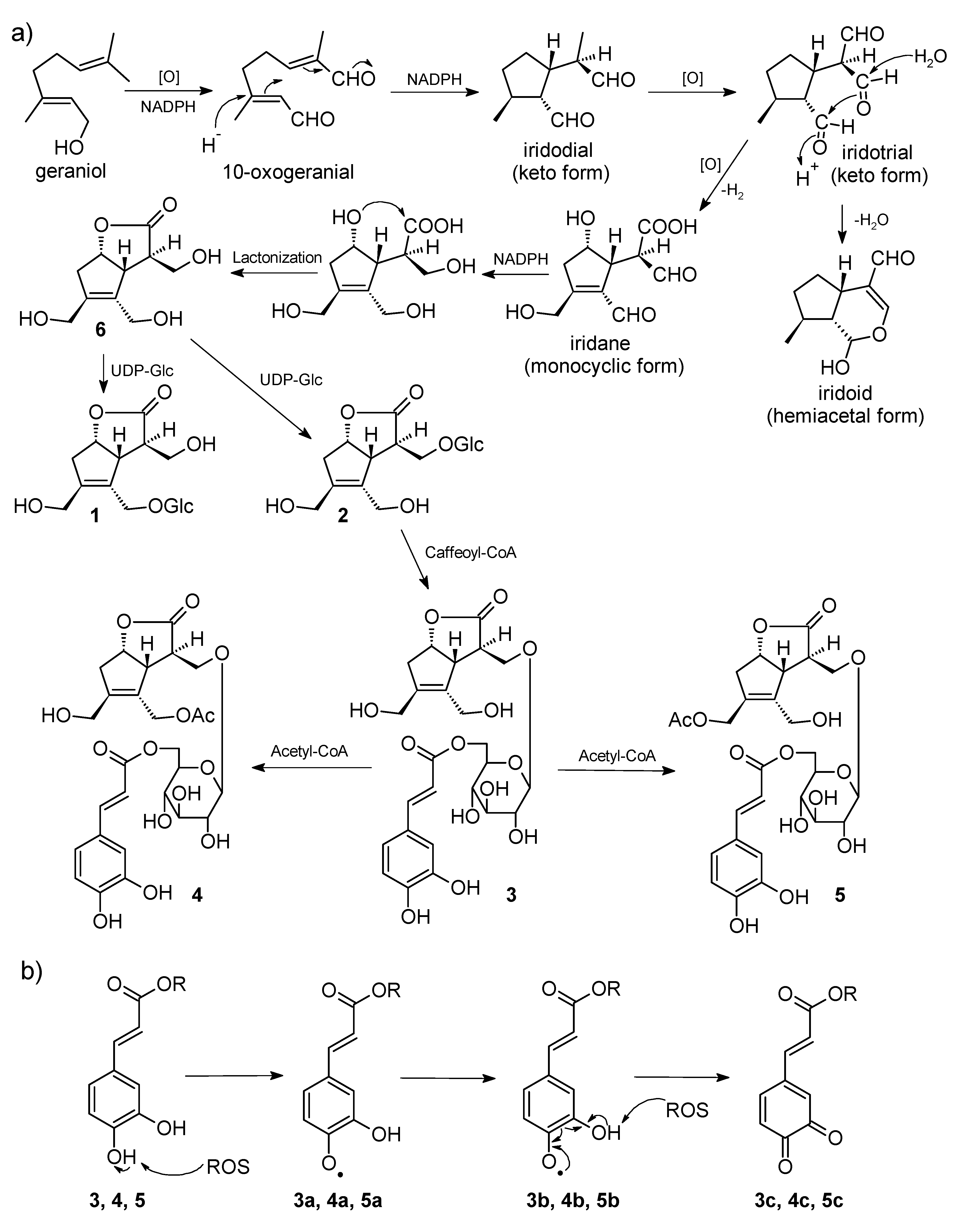 Molecules 24 03995 g004 Molecules 24 03995 g004