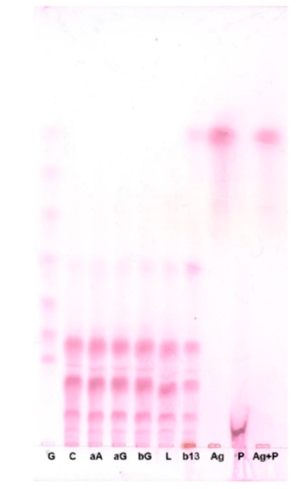 Molecules 24 03998 g003 550