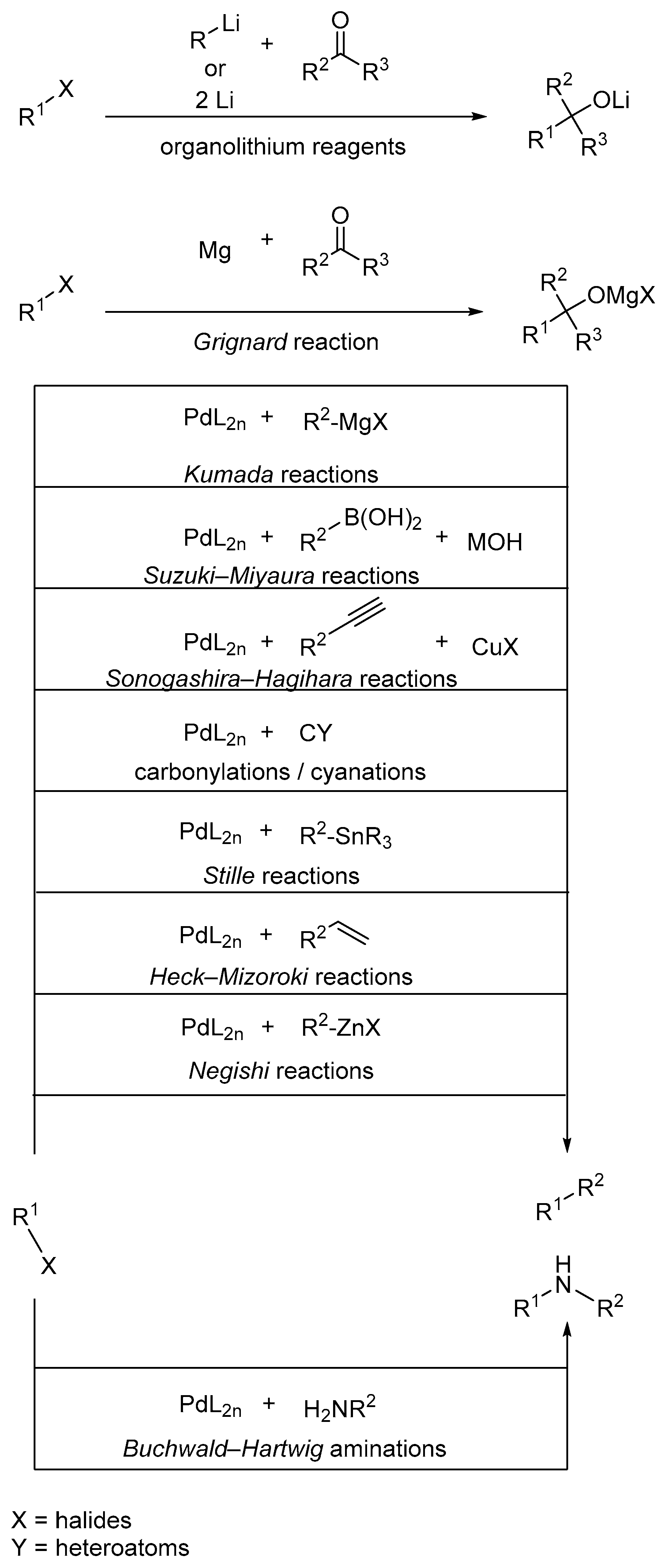 Molecules 24 04008 g004