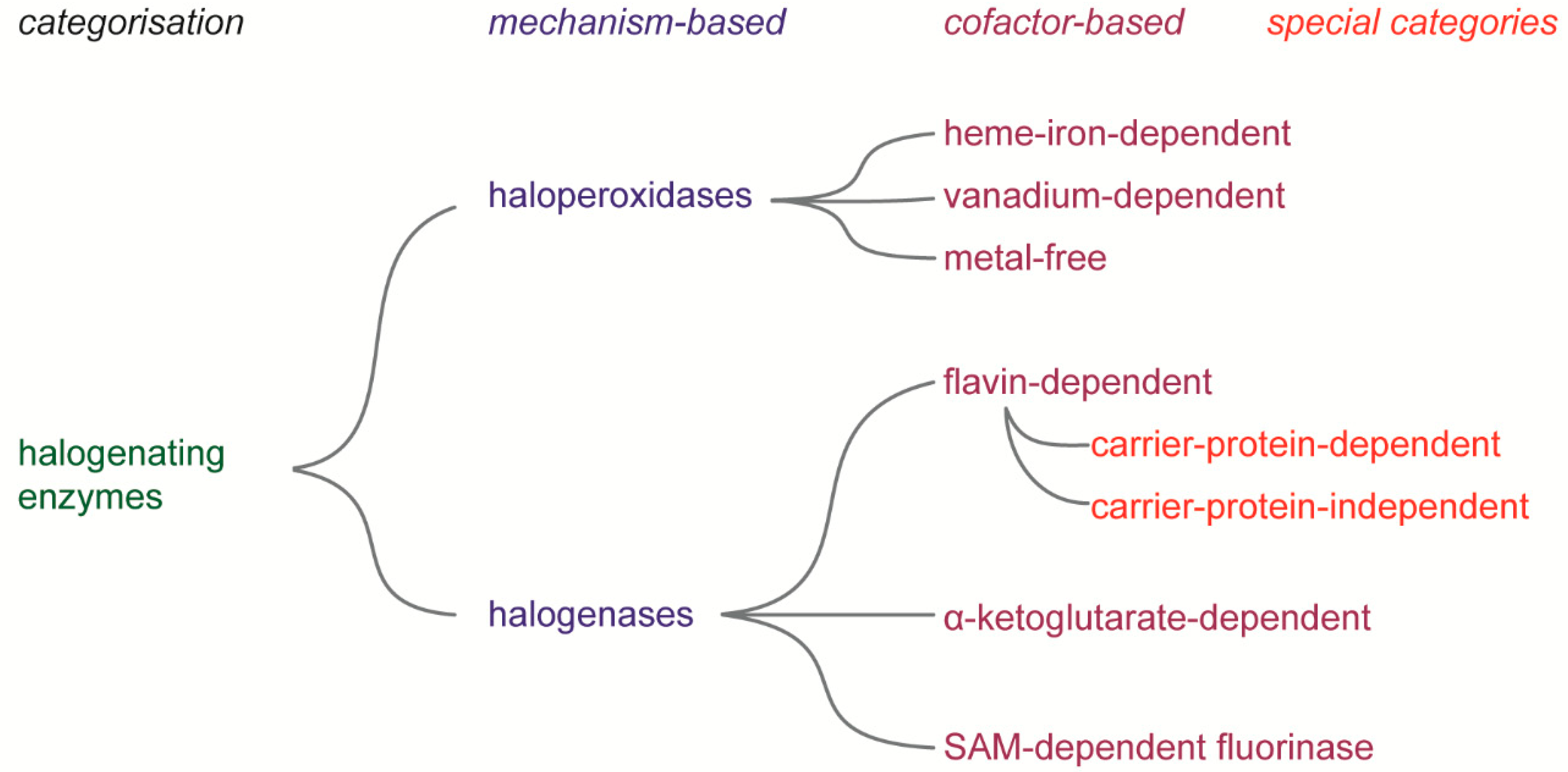 Molecules 24 04008 g006